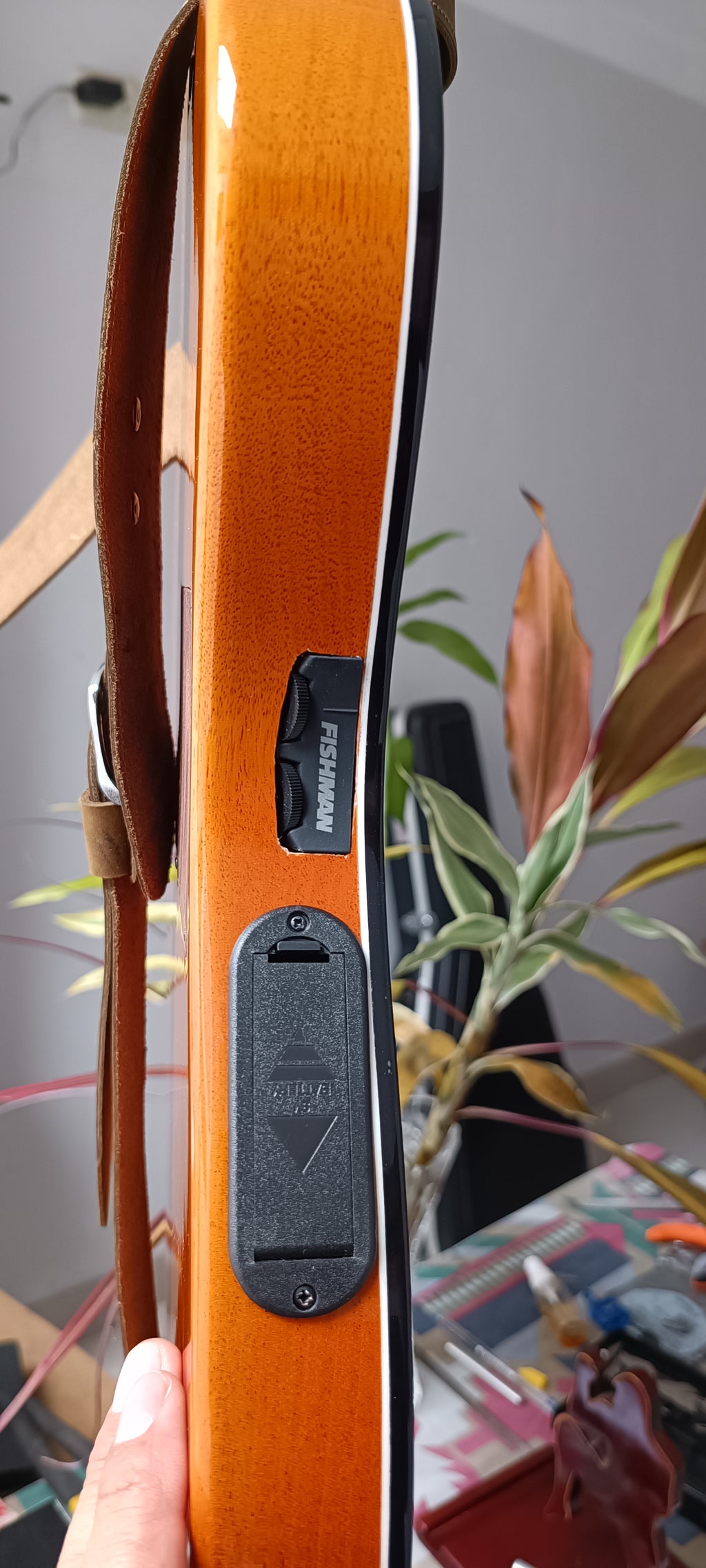Guitarra Andina 001 Pro Matrix - Semisólida con Sistema Fishman Matrix Infinity