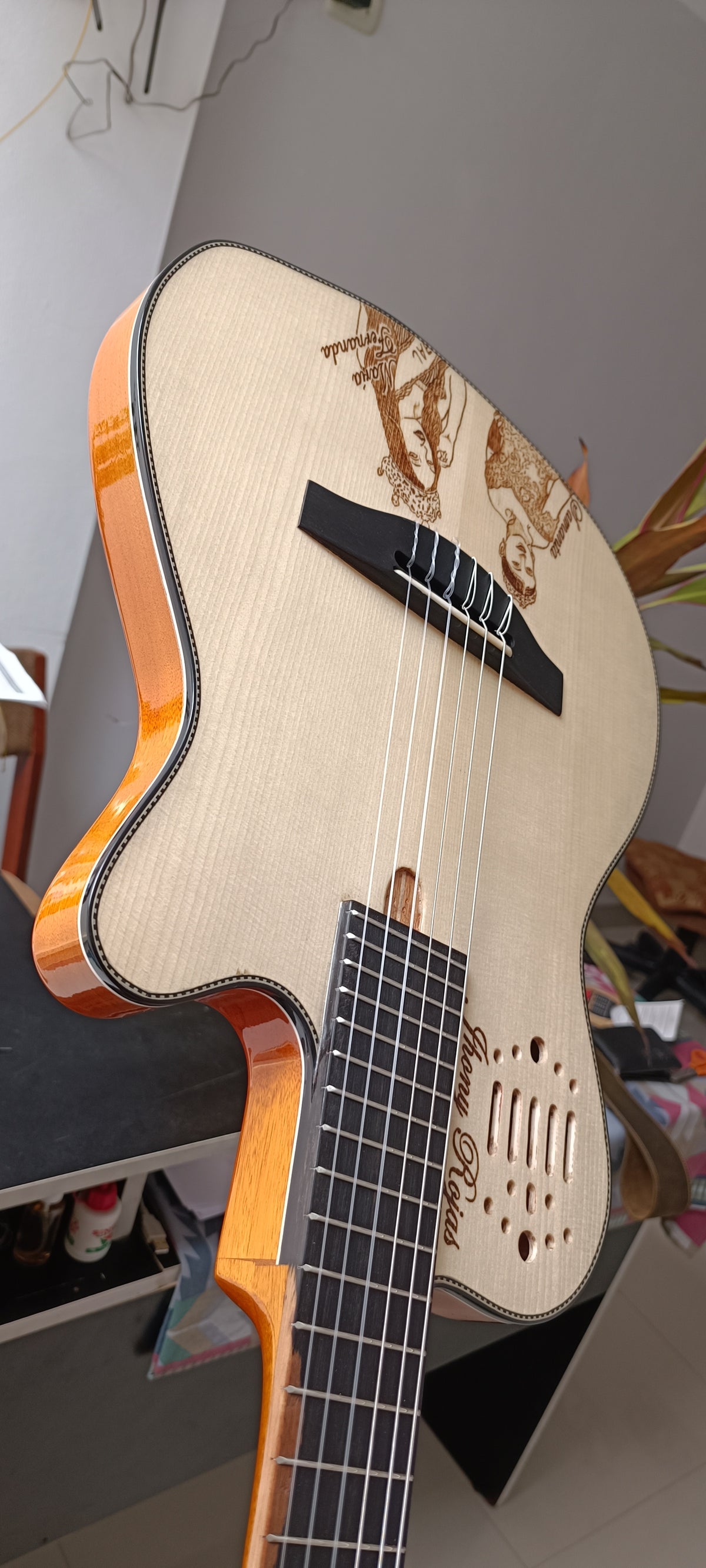Guitarra Andina 001 Pro Matrix - Semisólida con Sistema Fishman Matrix Infinity