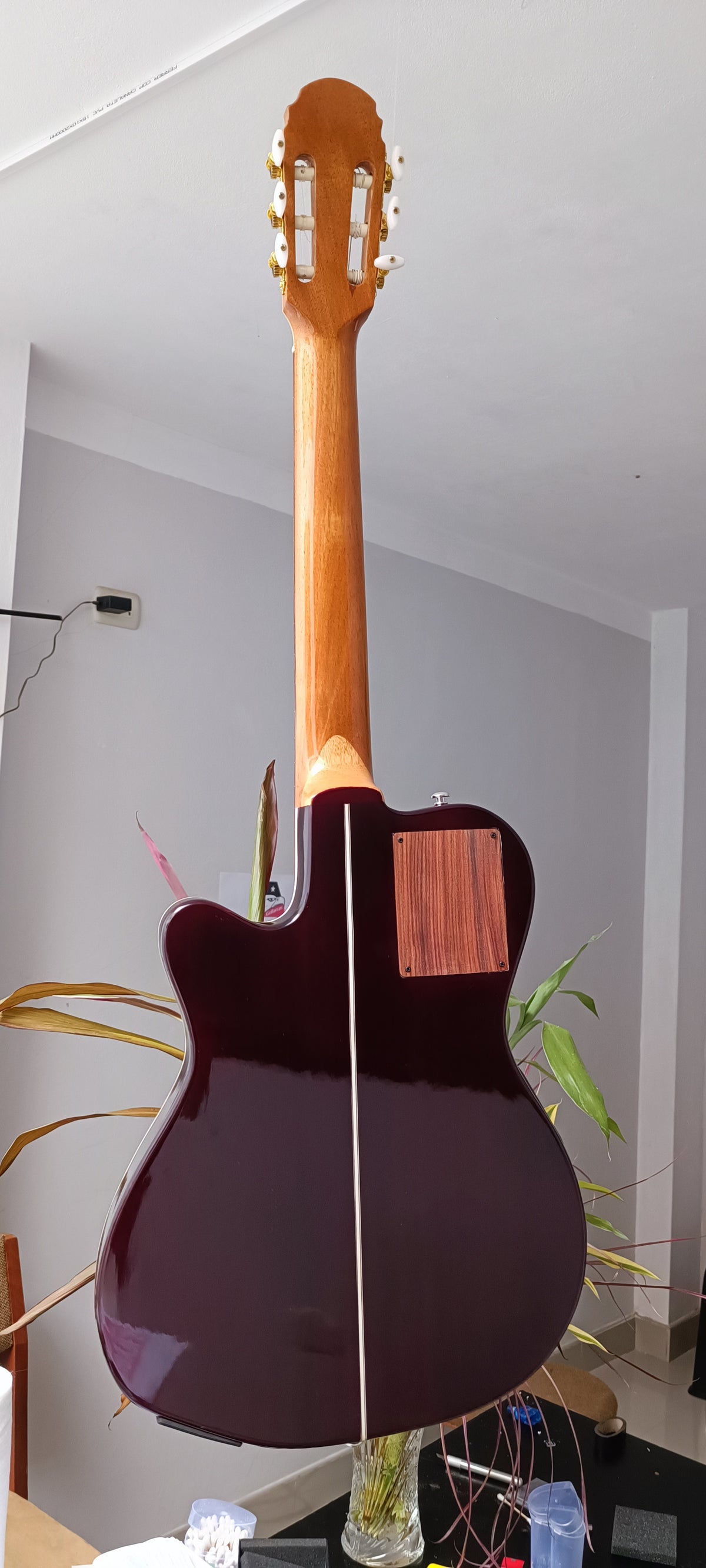 Guitarra Andina 001 - Semisólida Electroacústica con Sistema Artec 6 Bandas