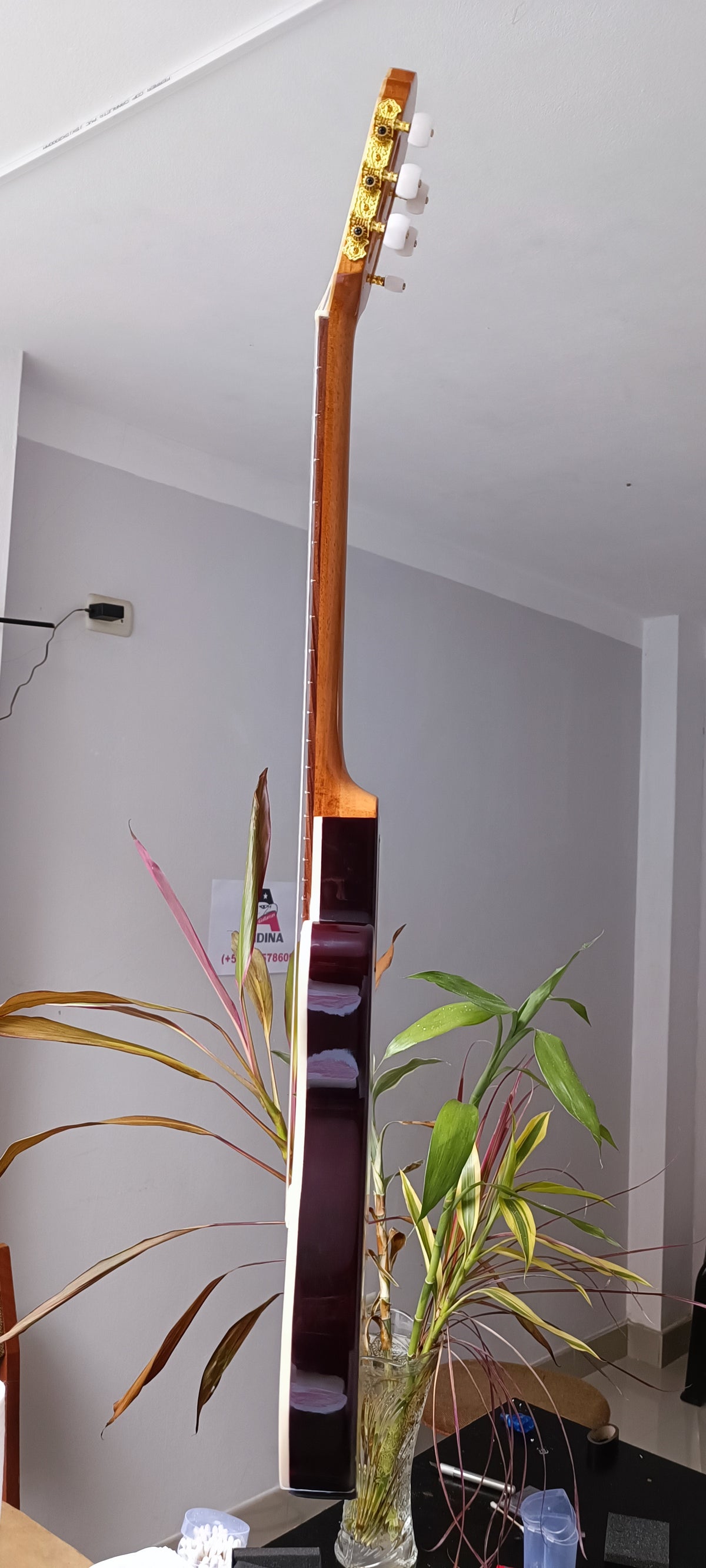 Guitarra Andina 001 - Semisólida Electroacústica con Sistema Artec 6 Bandas
