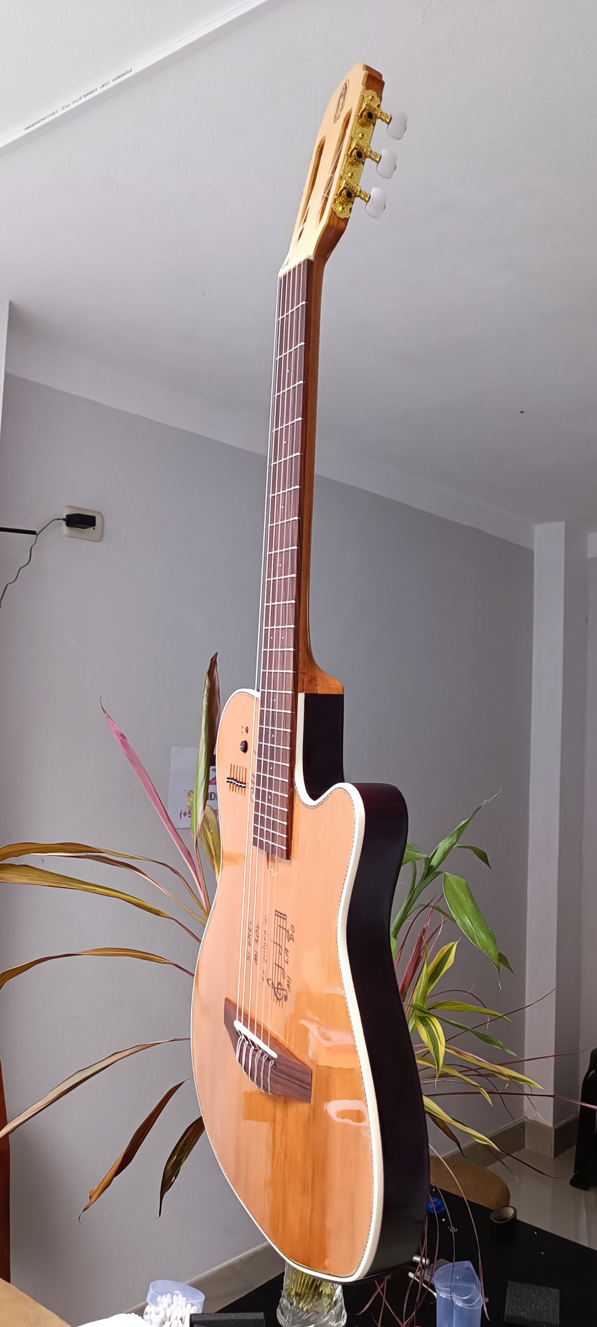 Guitarra Andina 001 - Semisólida Electroacústica con Sistema Artec 6 Bandas