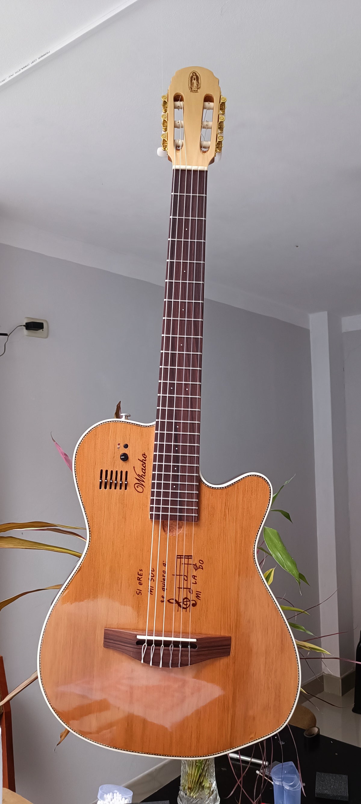 Guitarra Andina 001 - Semisólida Electroacústica con Sistema Artec 6 Bandas