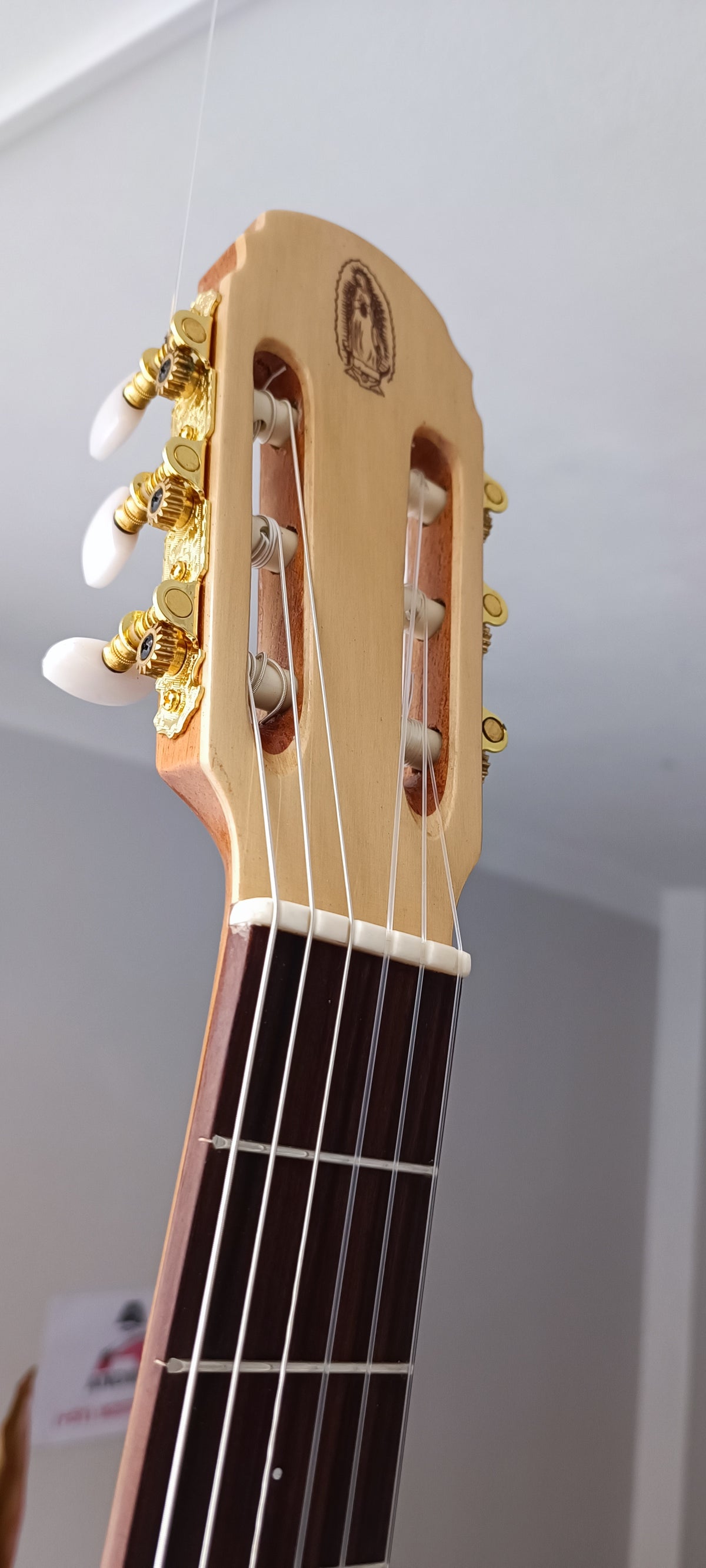 Guitarra Andina 001 - Semisólida Electroacústica con Sistema Artec 6 Bandas