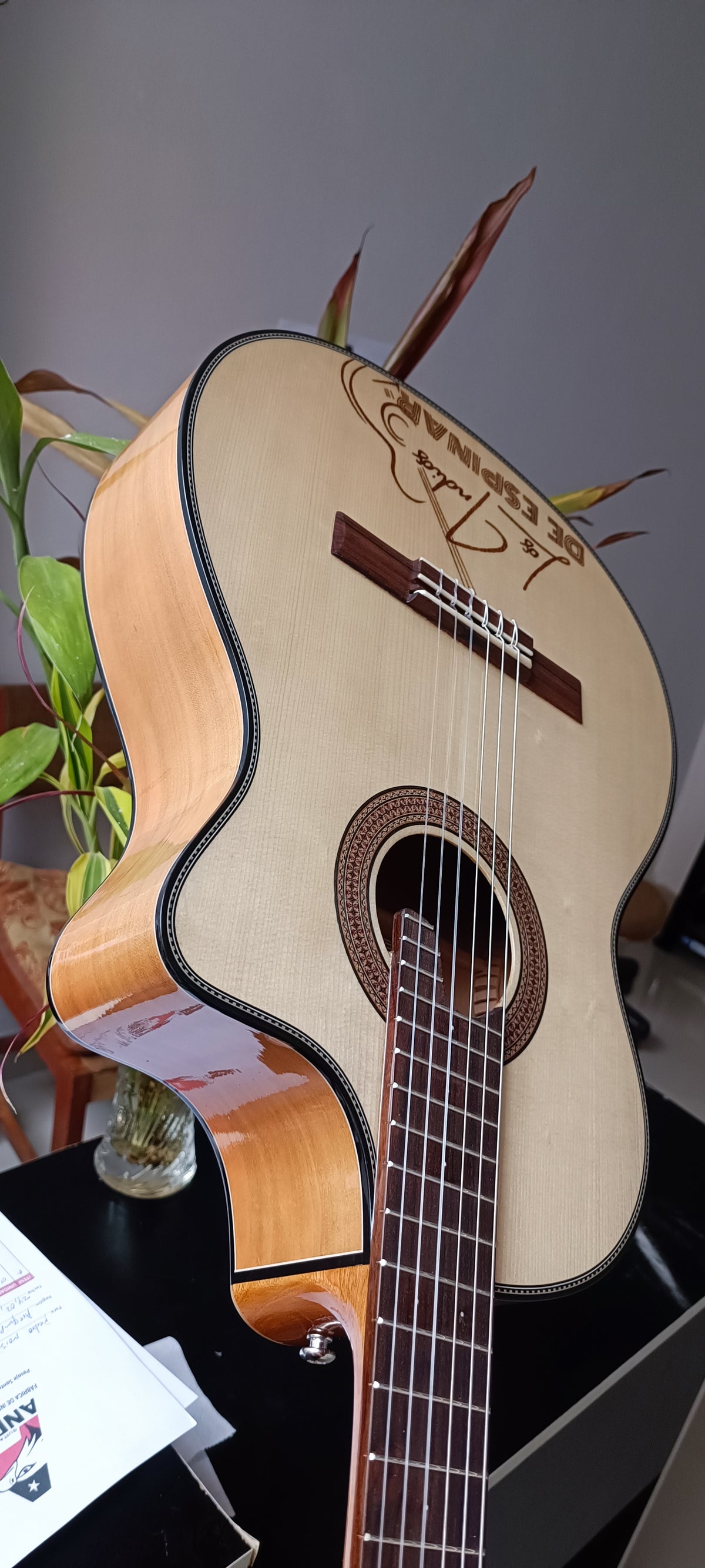 Guitarra Andina Forte - Electroacústica de Capulí 10cm con Sistema Fishman Presys