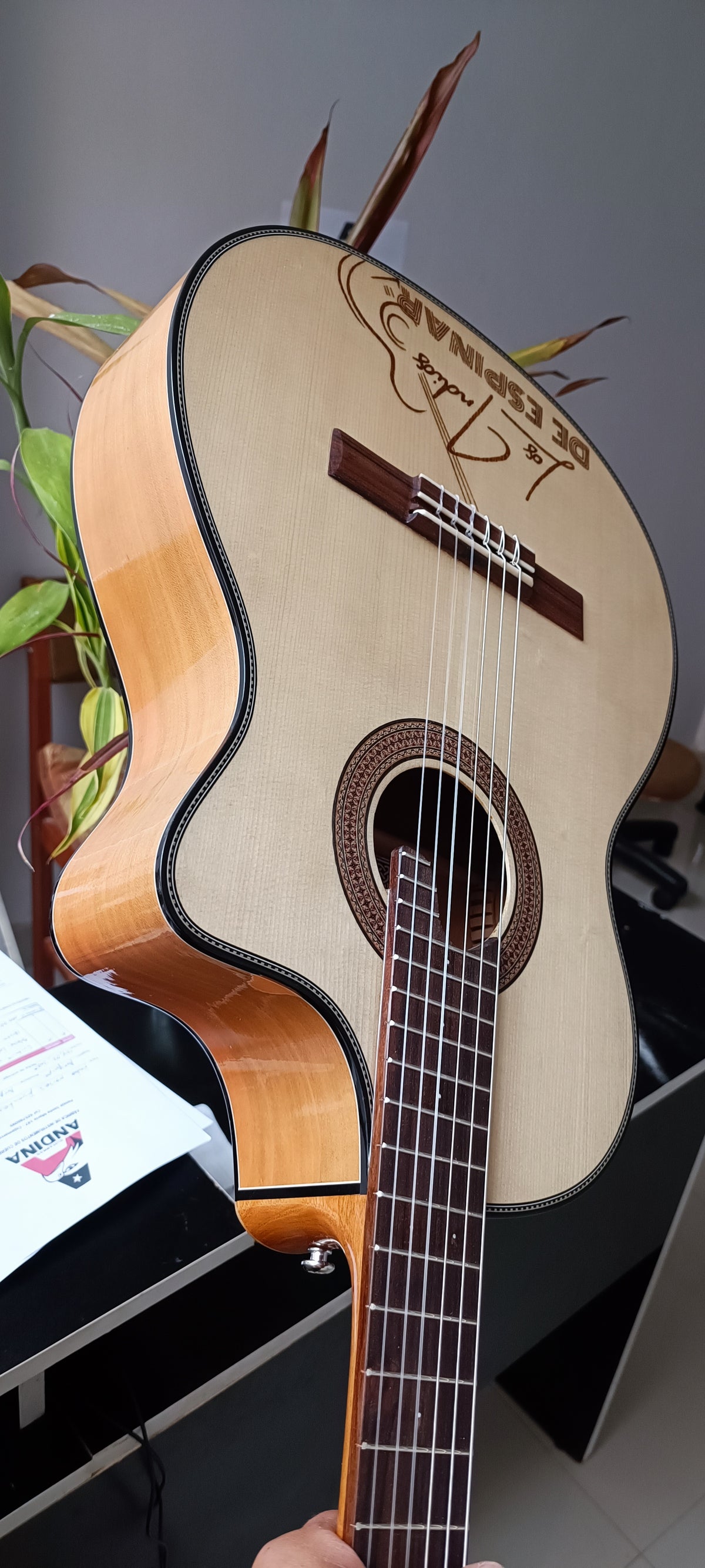 Guitarra Andina Forte - Electroacústica de Capulí 10cm con Sistema Fishman Presys