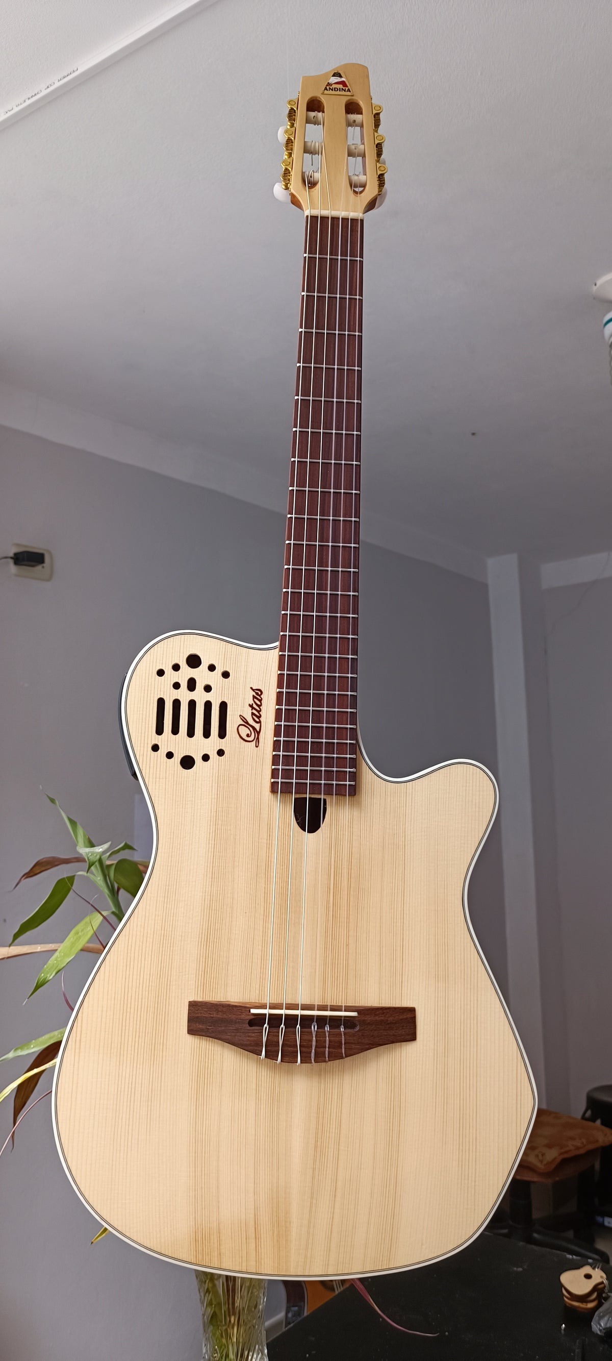 Guitarra Andina AN4G Premium - Electroacústica Profesional con Caja Acústica 9cm