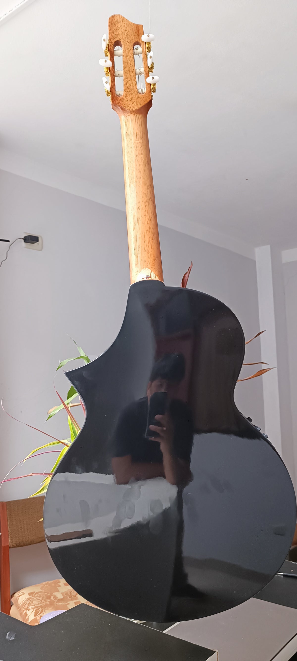 Guitarra Andina Gorrión - Electroacústica con Doble Boca y Sistema Fishman Presys