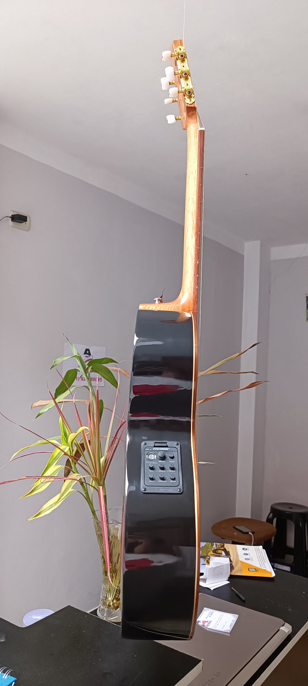 Guitarra Andina Gorrión - Electroacústica con Doble Boca y Sistema Fishman Presys