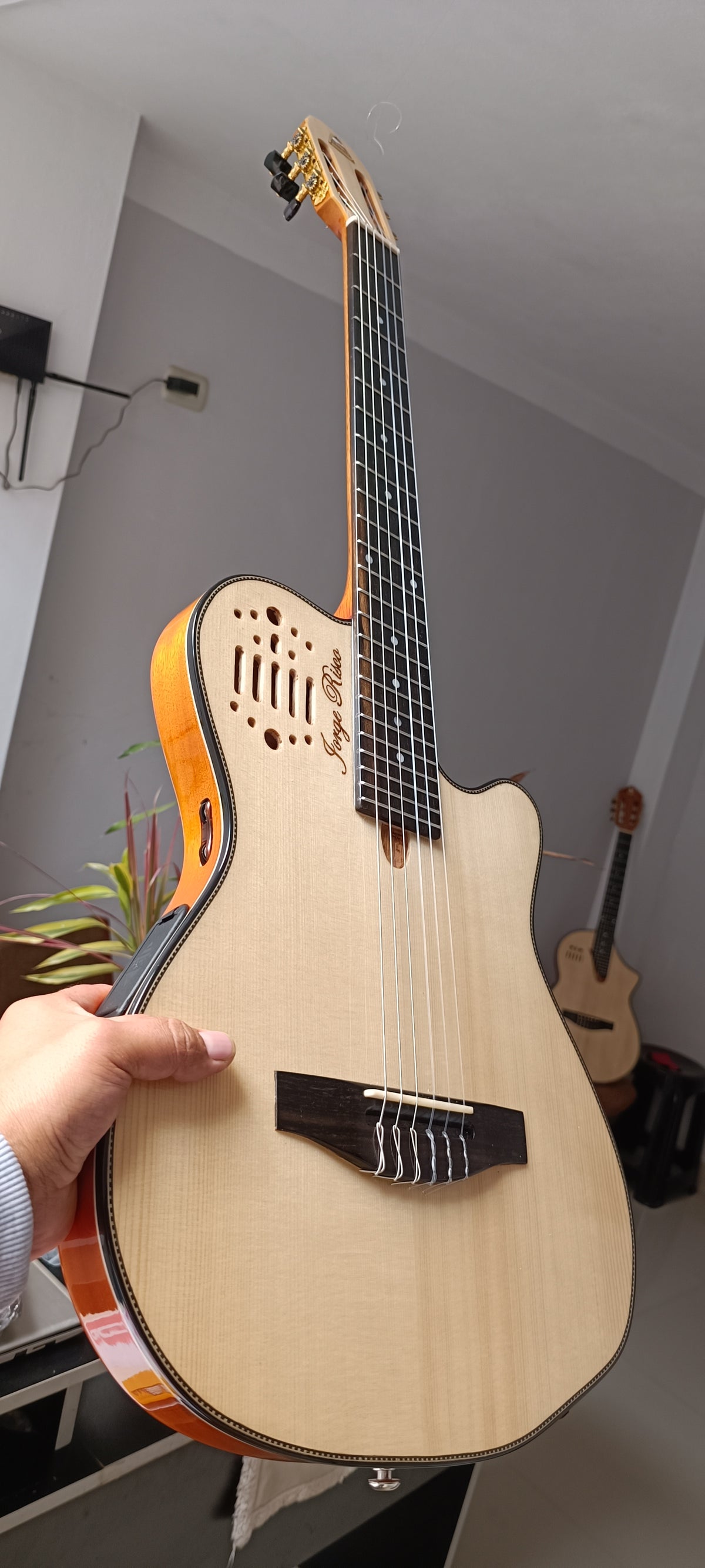 Guitarra Andina 001 Pro - Semisólida de Caoba 5cm con Sistema Rlbags