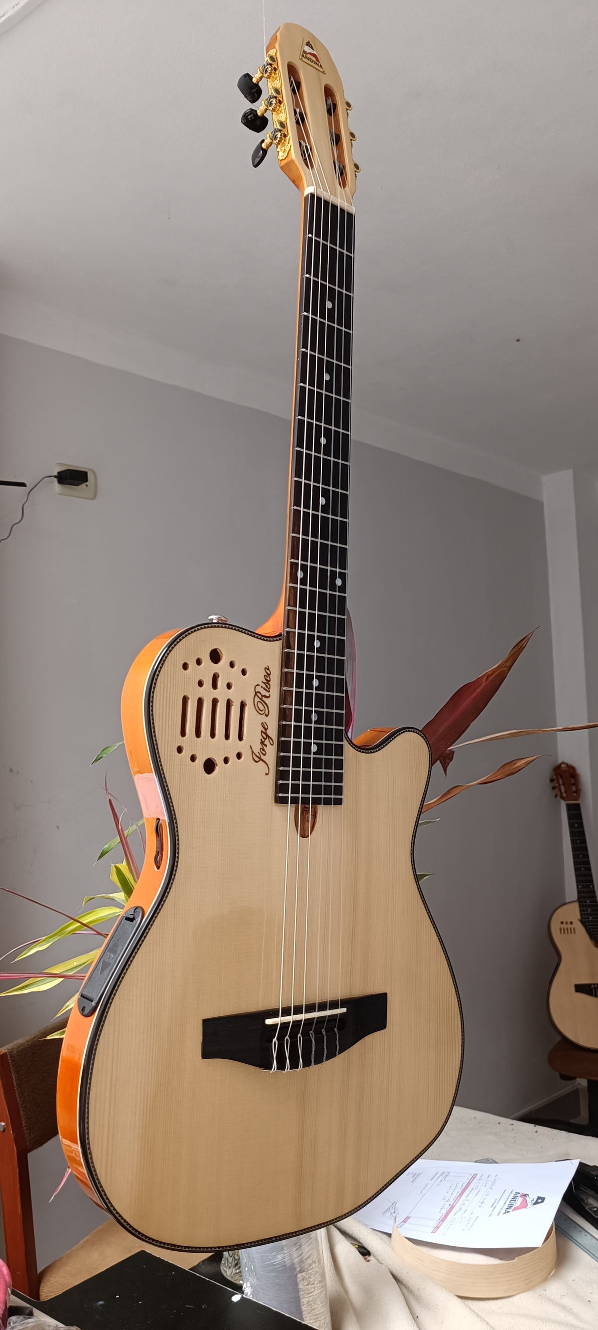Guitarra Andina 001 Pro - Semisólida de Caoba 5cm con Sistema Rlbags