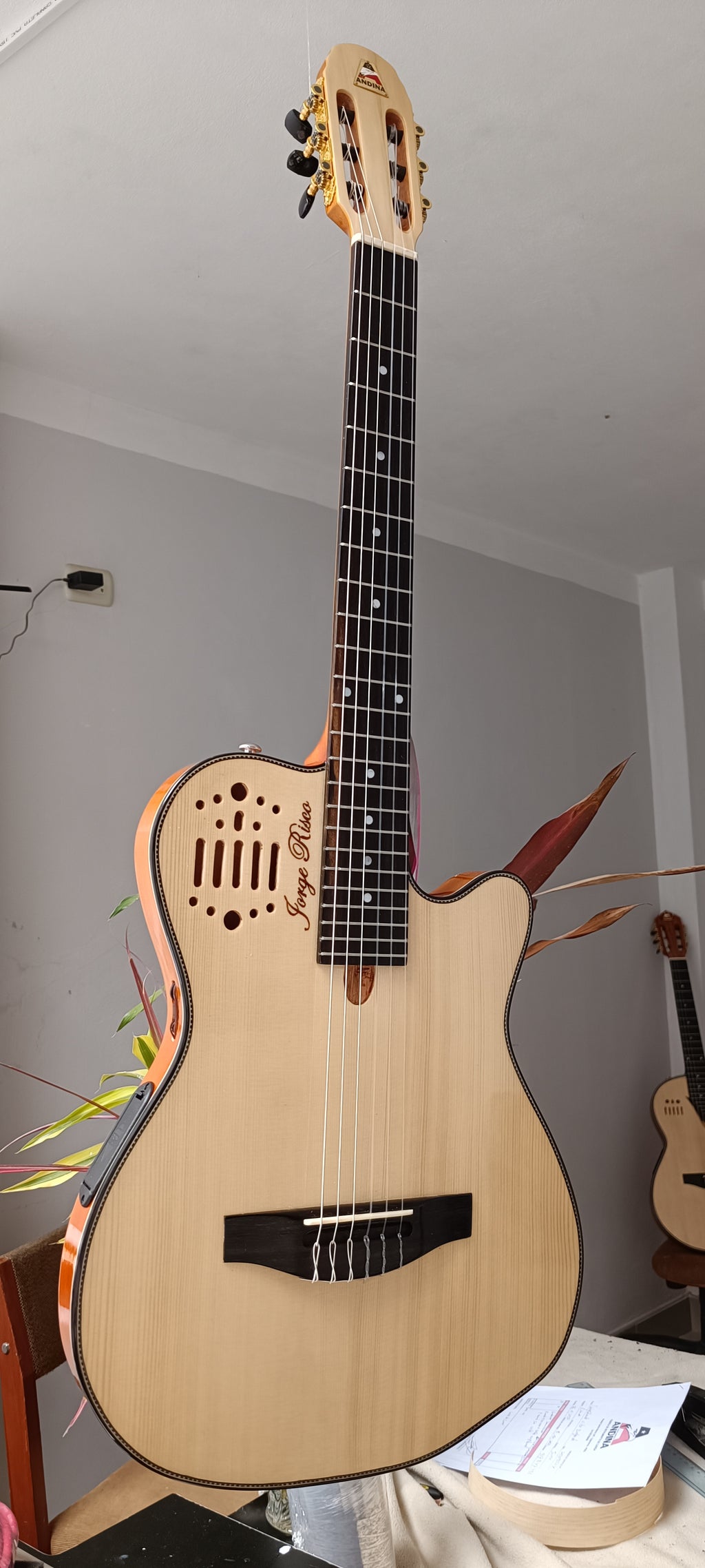 Guitarra Andina 001 Pro - Semisólida de Caoba 5cm con Sistema Rlbags
