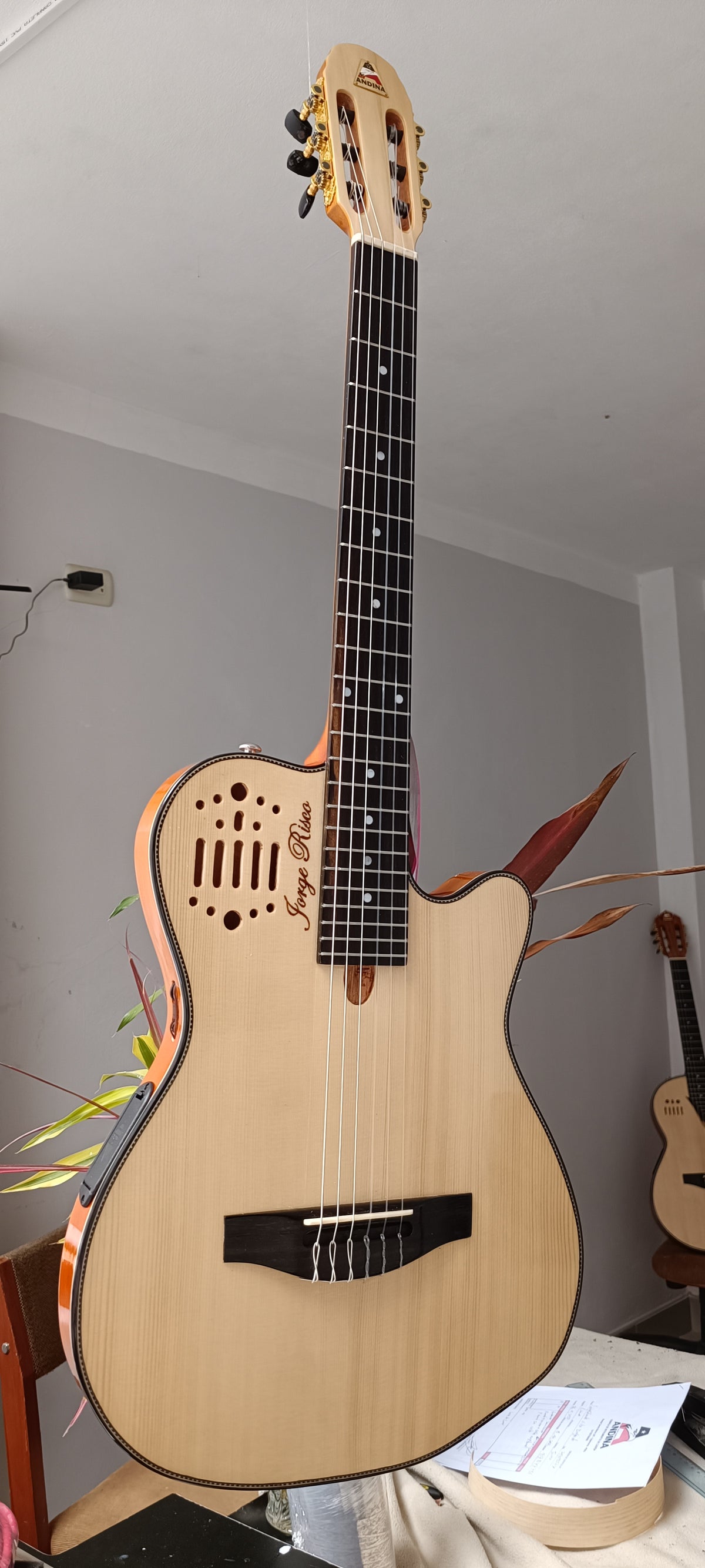 Guitarra Andina 001 Pro - Semisólida de Caoba 5cm con Sistema Rlbags
