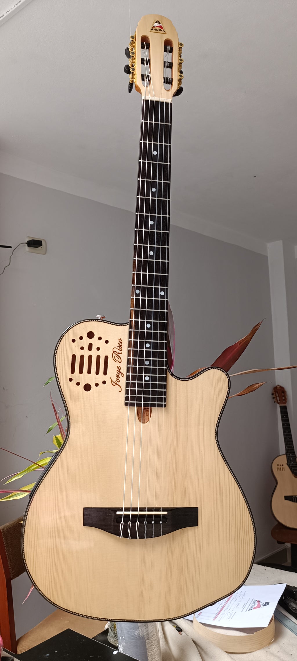 Guitarra Andina 001 Pro - Semisólida de Caoba 5cm con Sistema Rlbags