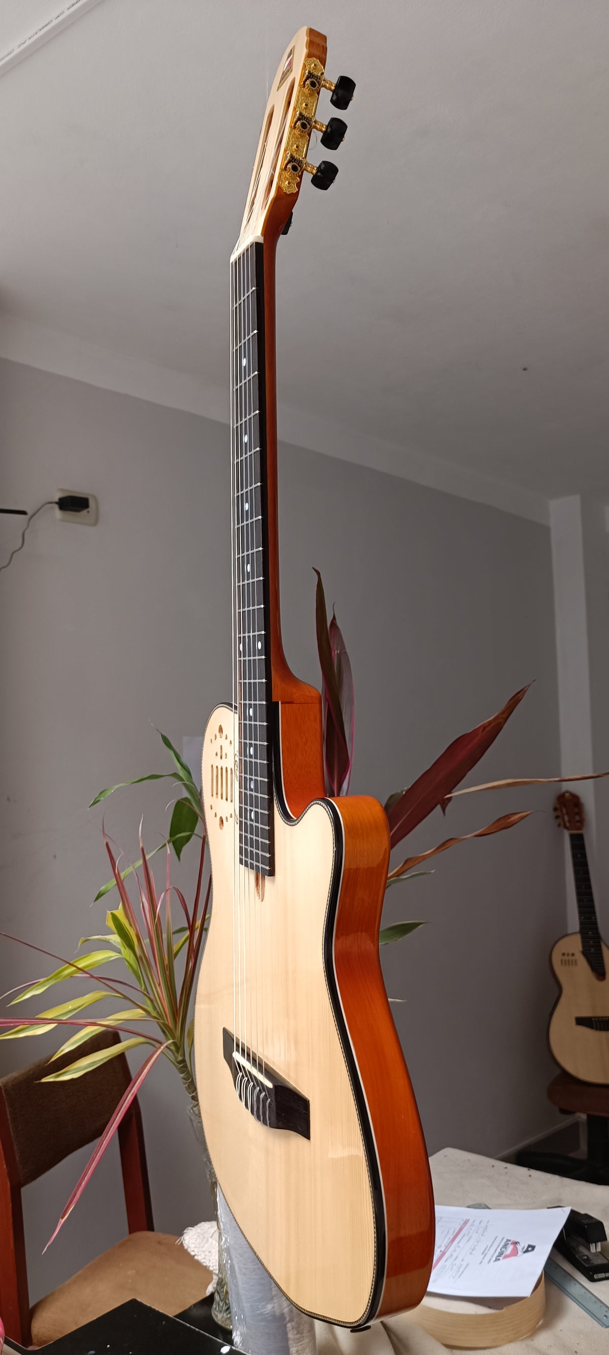 Guitarra Andina 001 Pro - Semisólida de Caoba 5cm con Sistema Rlbags