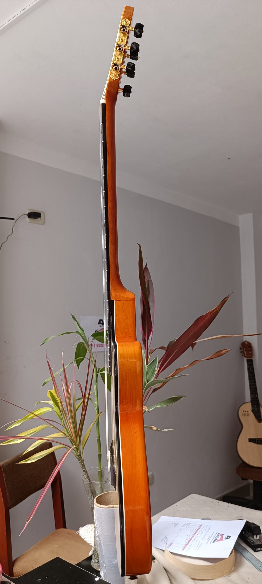 Guitarra Andina 001 Pro - Semisólida de Caoba 5cm con Sistema Rlbags