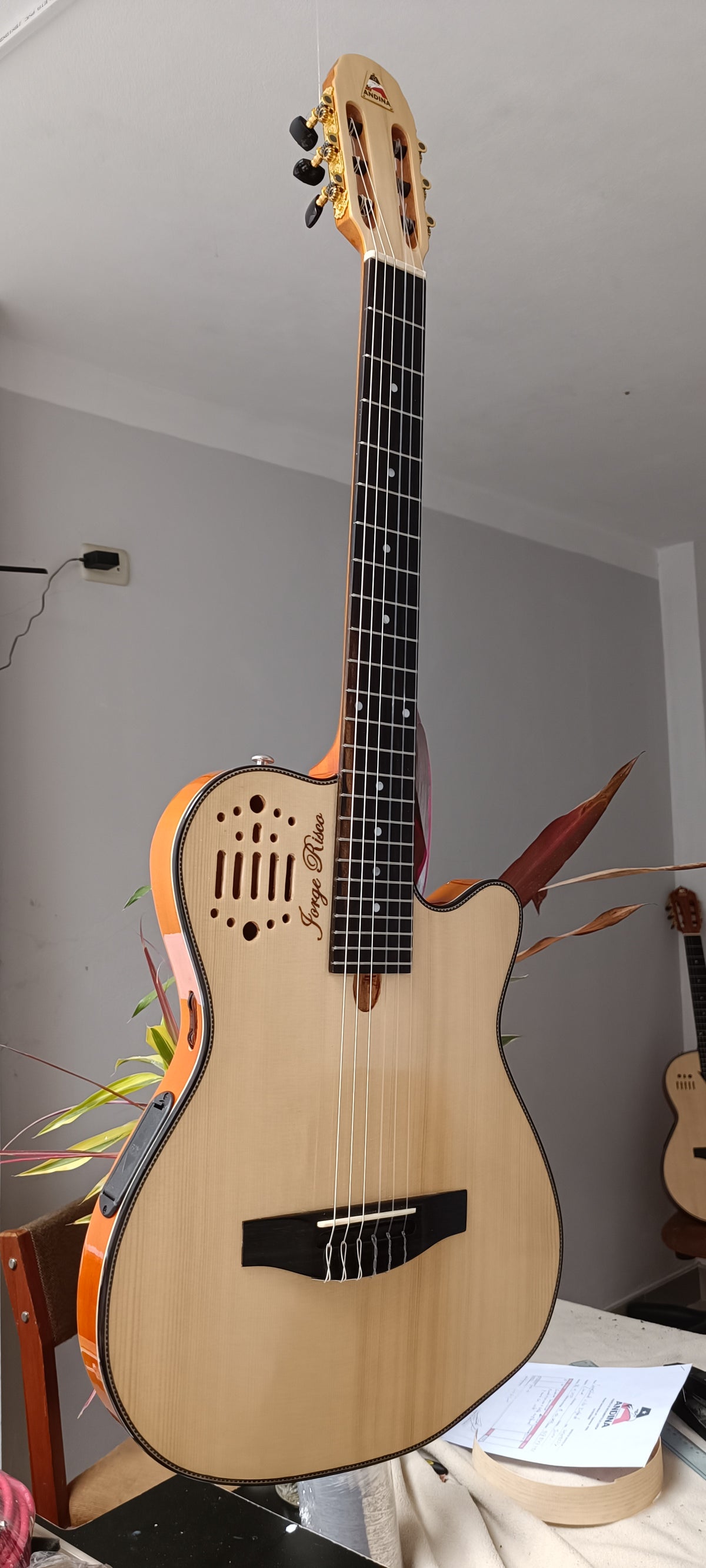 Guitarra Andina 001 Pro - Semisólida de Caoba 5cm con Sistema Rlbags