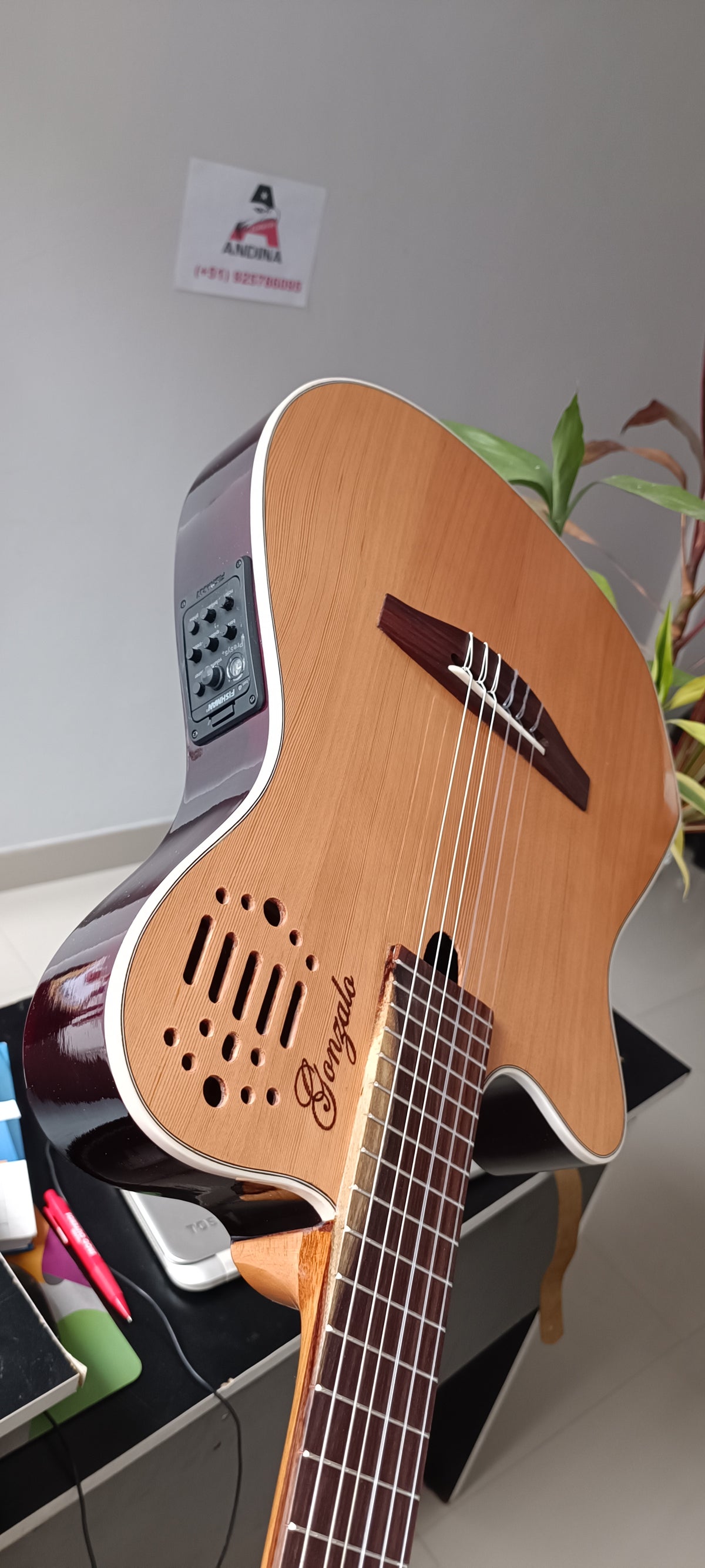 Guitarra Andina AN4G Slim - Electroacústica con Sistema Fishman Presys y Afinador