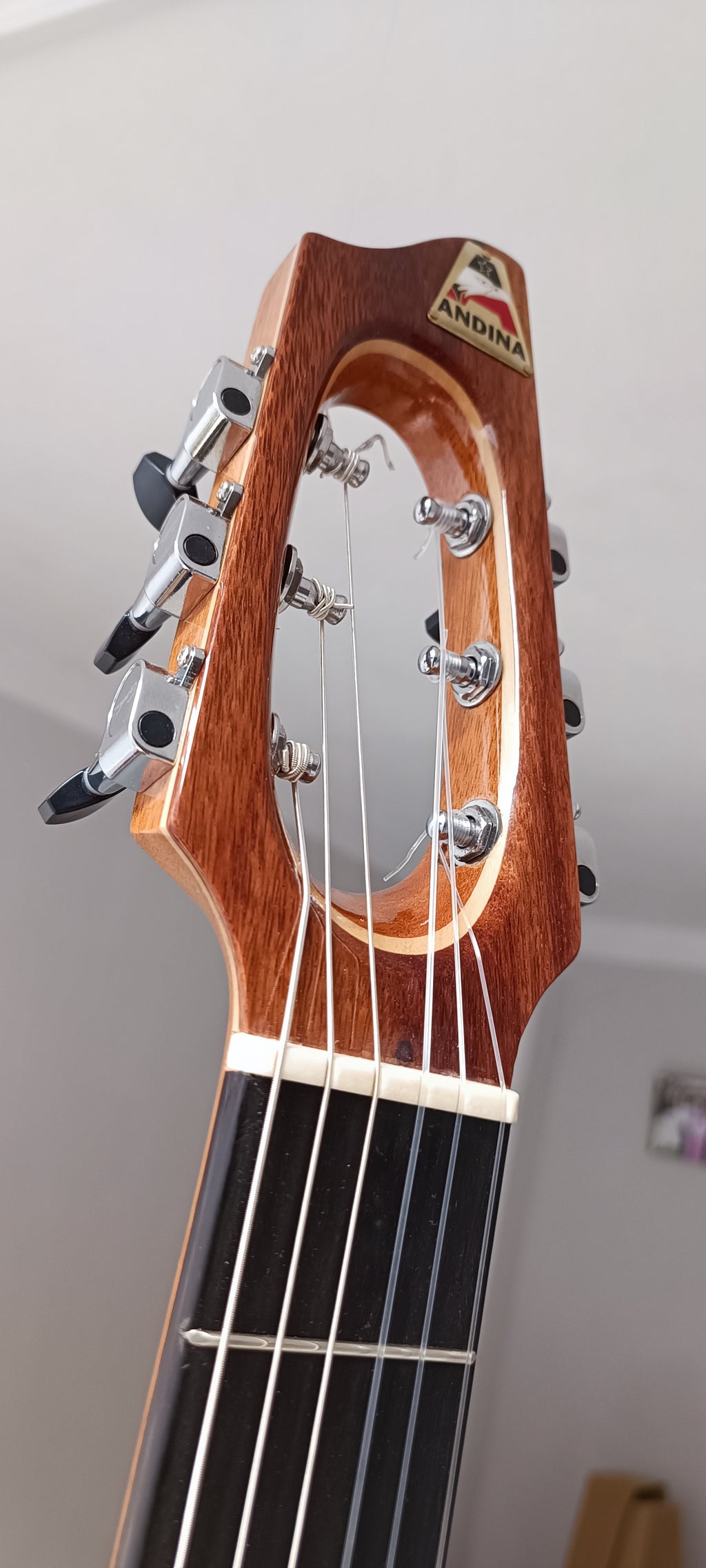 Guitarra Andina Pro Max - Electroacústica Profesional de Alta Gama
