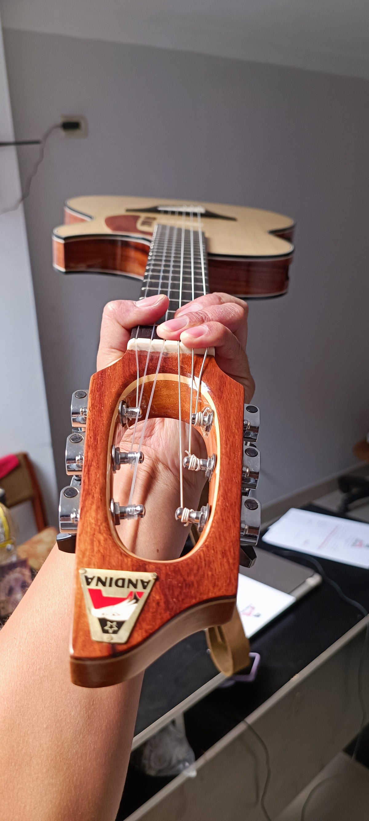 Guitarra Andina Pro Max - Electroacústica Profesional de Alta Gama