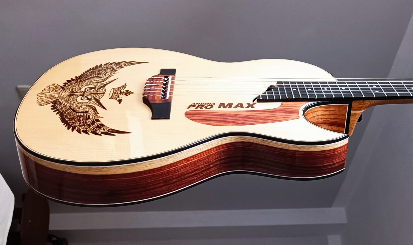 Reserva tu Guitarra Andina Artesanal | Fábrica de Guitarras Andina