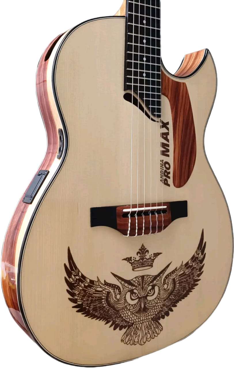 Reserva tu Guitarra Andina Artesanal | Fábrica de Guitarras Andina