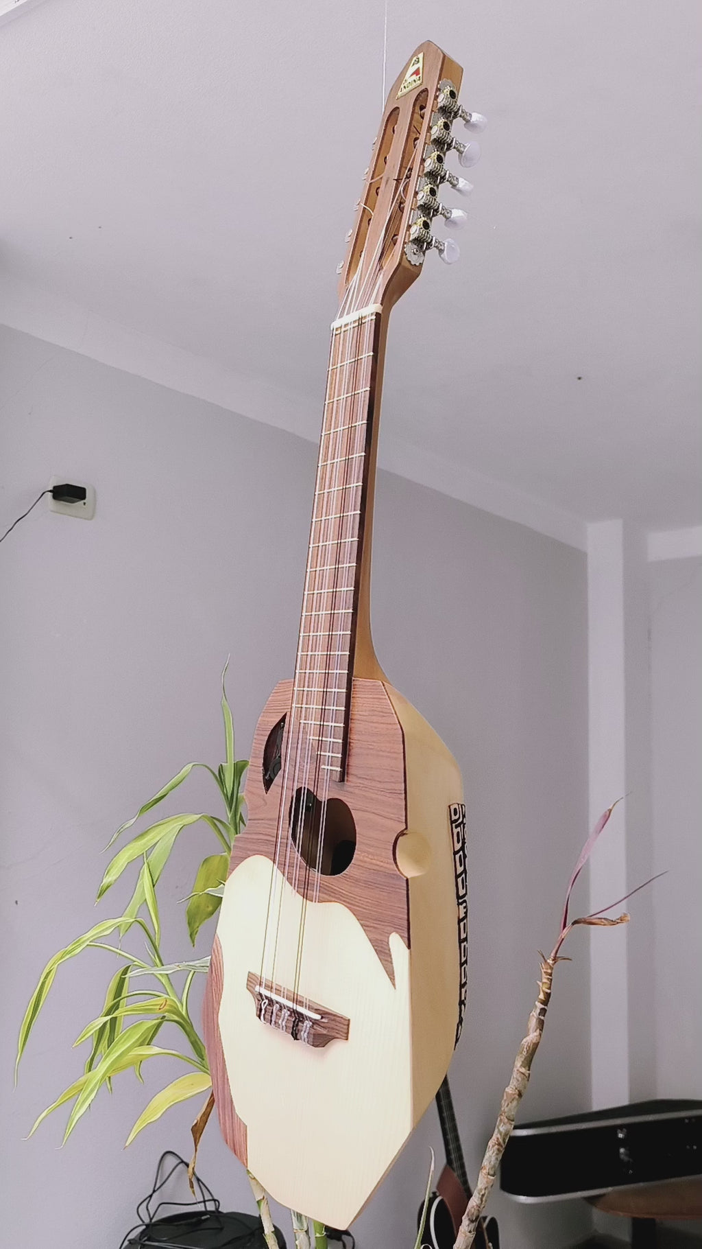 Ronroco Andino Premium - Tallado a Mano con Sistema Fishman Sonitone