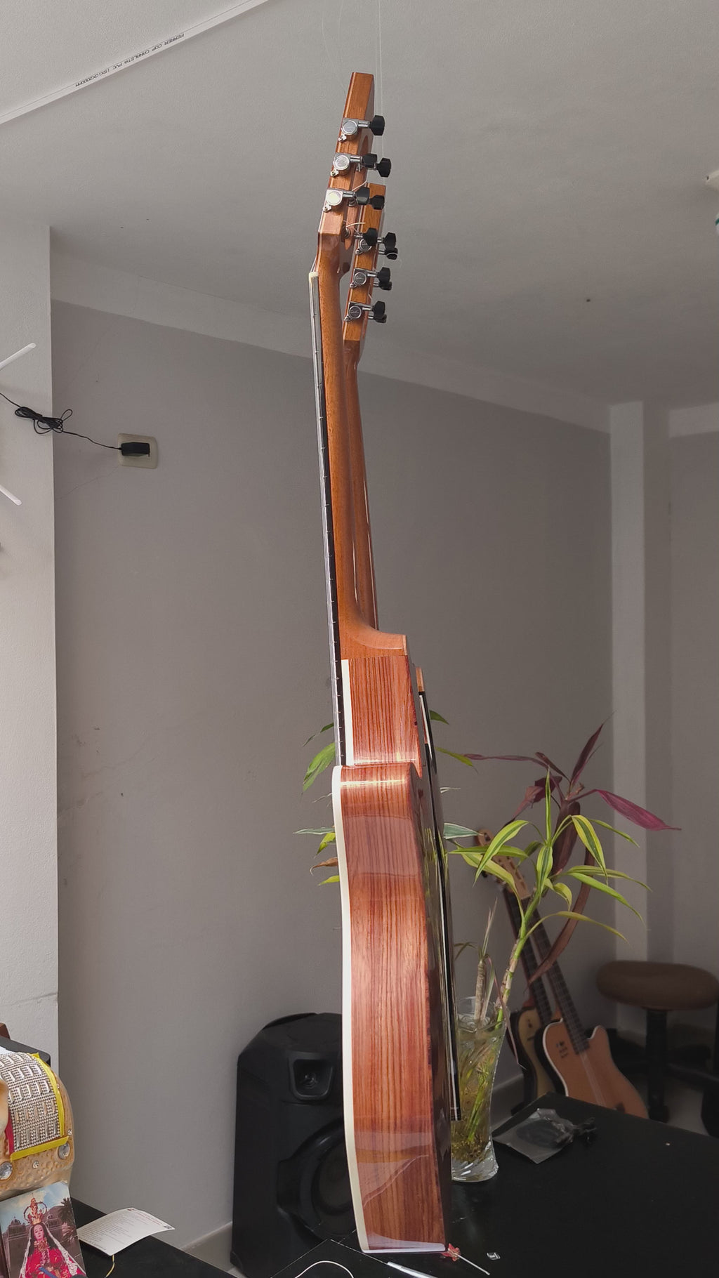 Guitarra Andina Pro Max - Electroacústica Profesional de Alta Gama