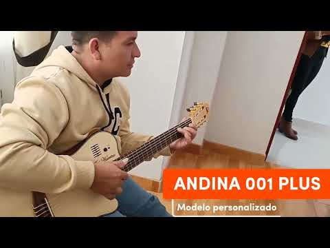 Guitarra Andina 001 Pro - Semisólida de Caoba 5cm con Sistema Rlbags