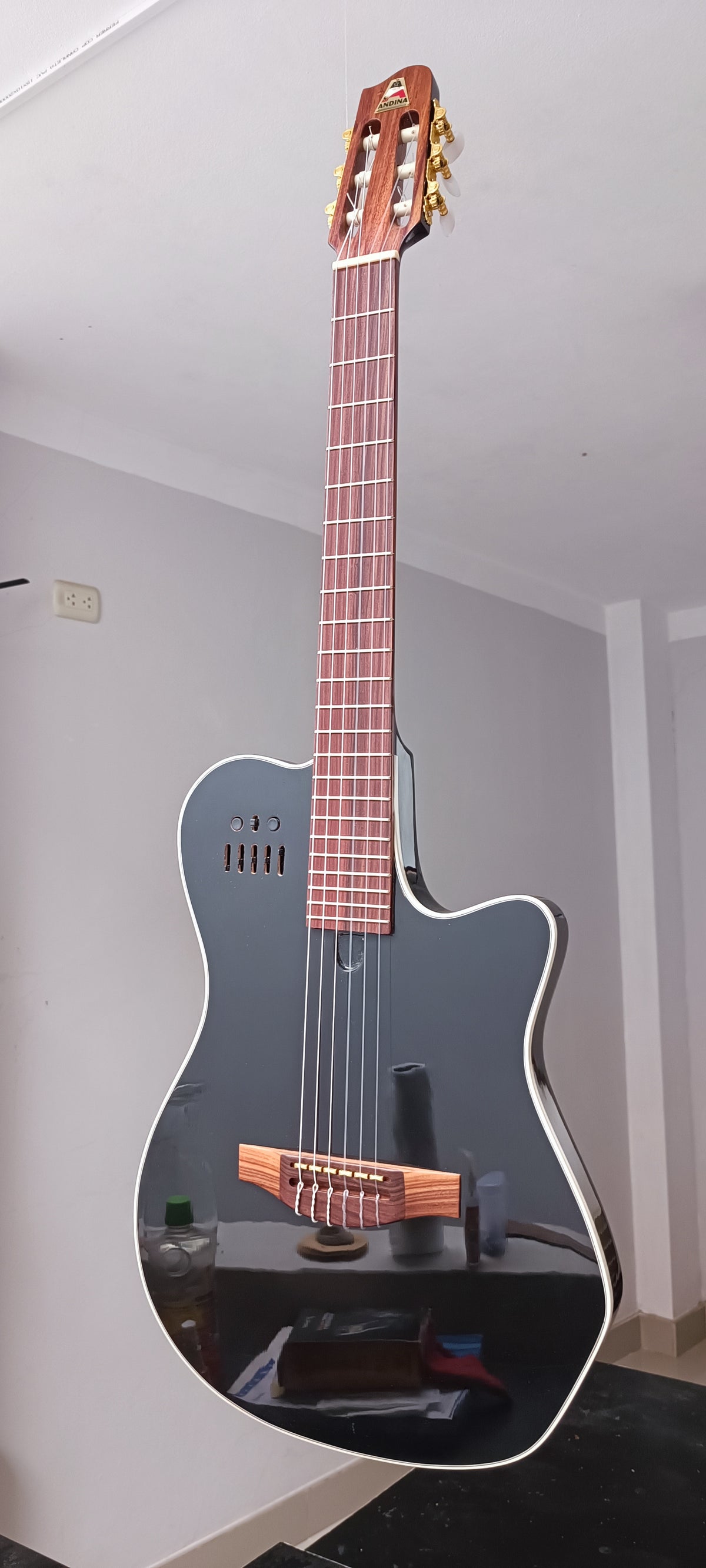 Guitarra Andina AN4G Gold - Semisólida con Sistema RMC Bañado en Oro