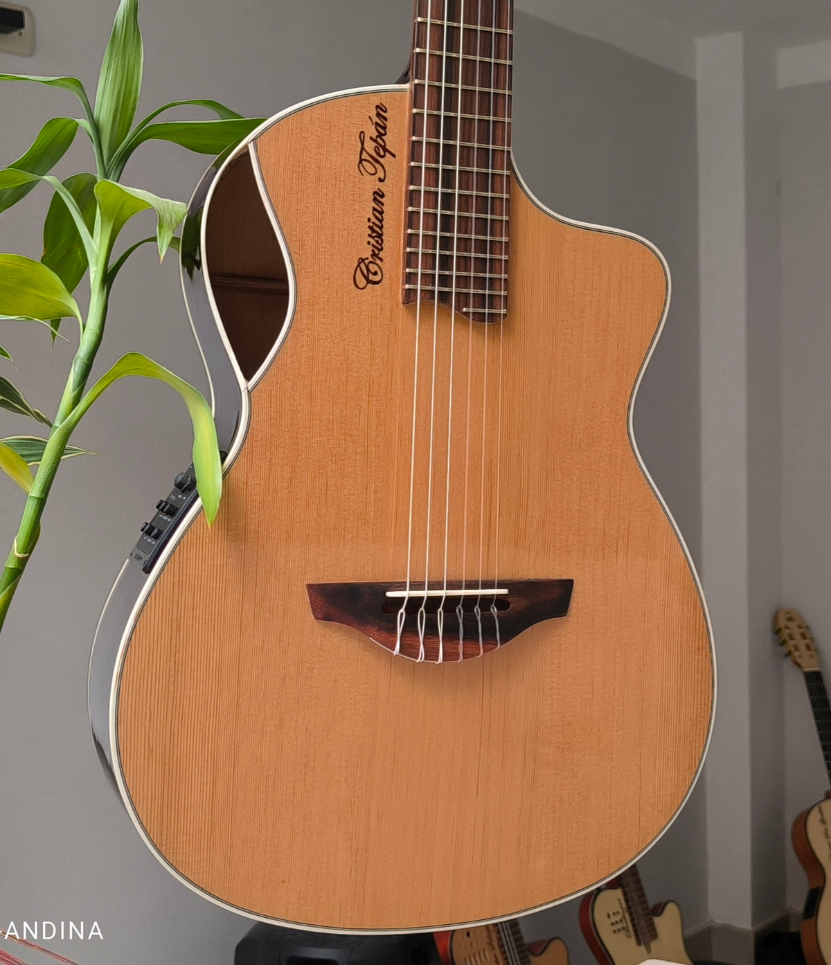 Guitarra Andina Épica - Electroacústica con Boca Lateral y Sistema Fishman Presys