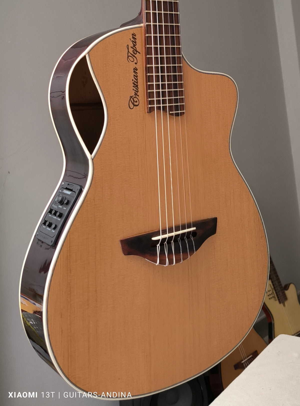 Guitarra Andina Épica - Electroacústica con Boca Lateral y Sistema Fishman Presys