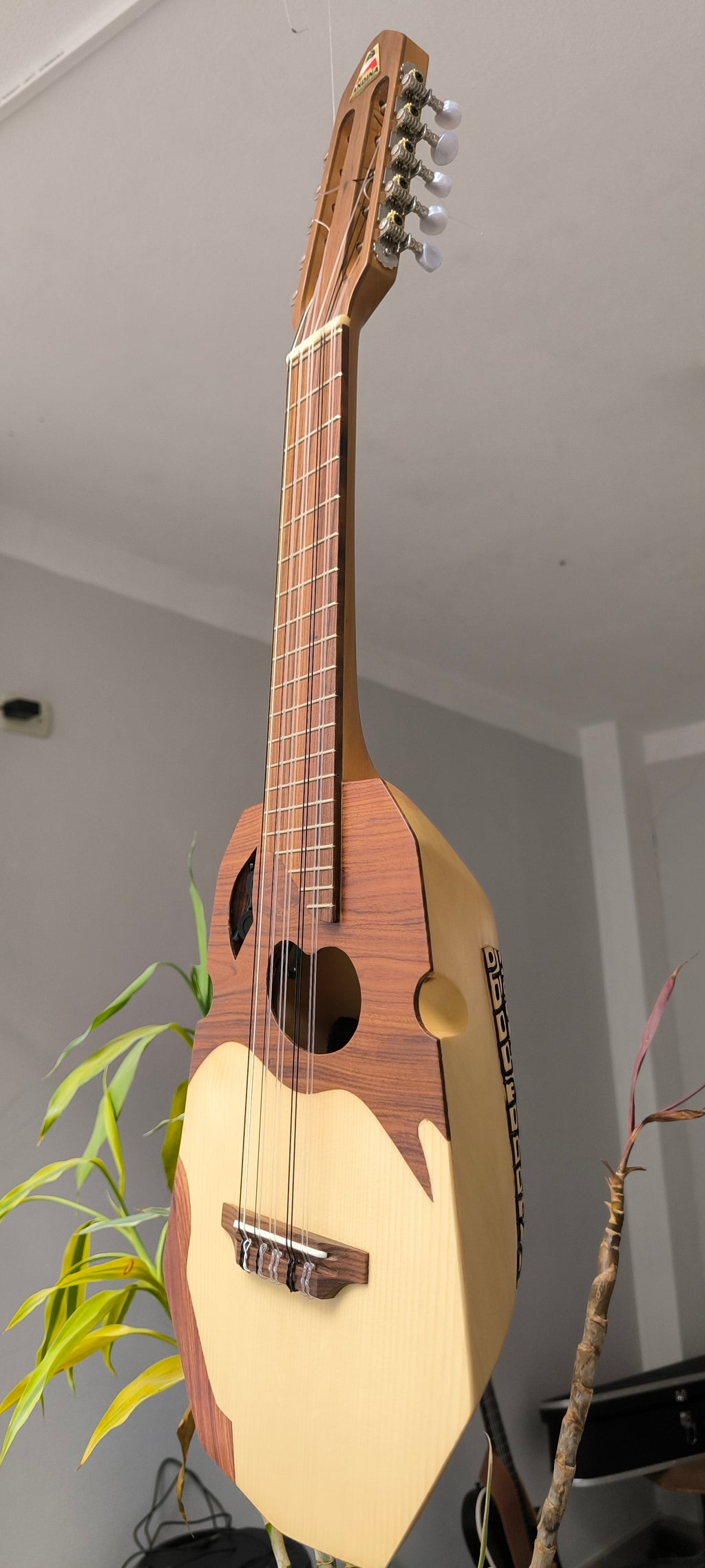 Ronroco Andino Premium - Tallado a Mano con Sistema Fishman Sonitone