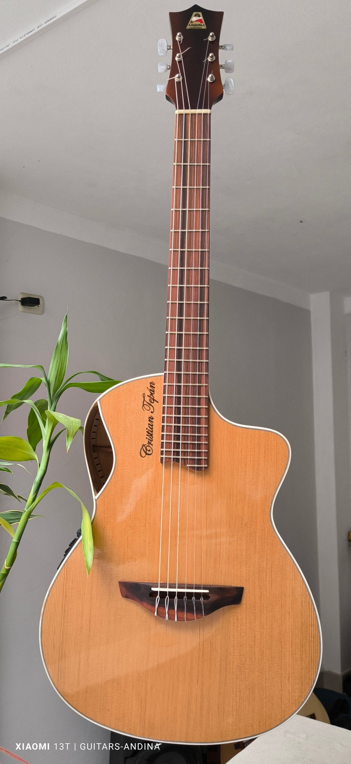 Guitarra Andina Épica - Electroacústica con Boca Lateral y Sistema Fishman Presys