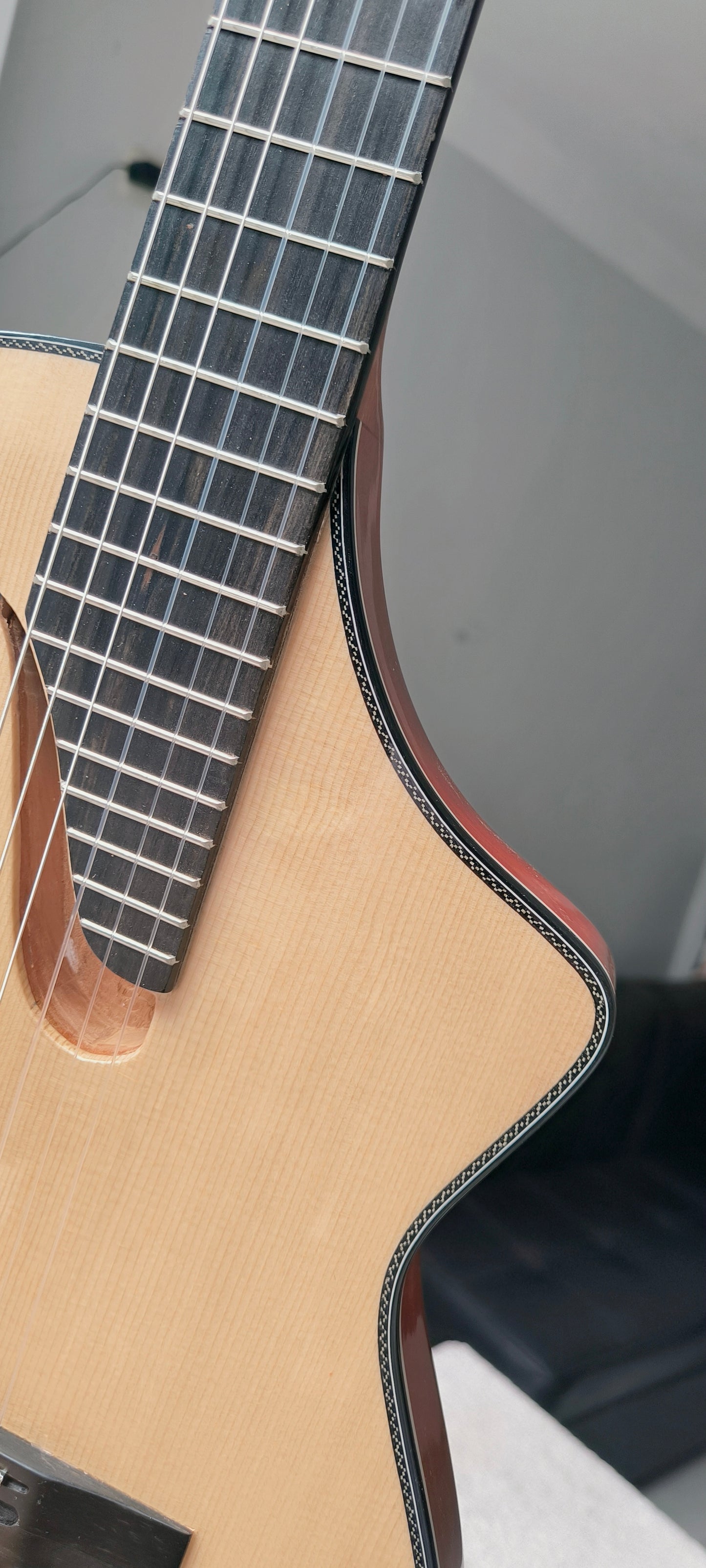 REQUINTO PROFESIONAL - ANDINA NOVA DORADO