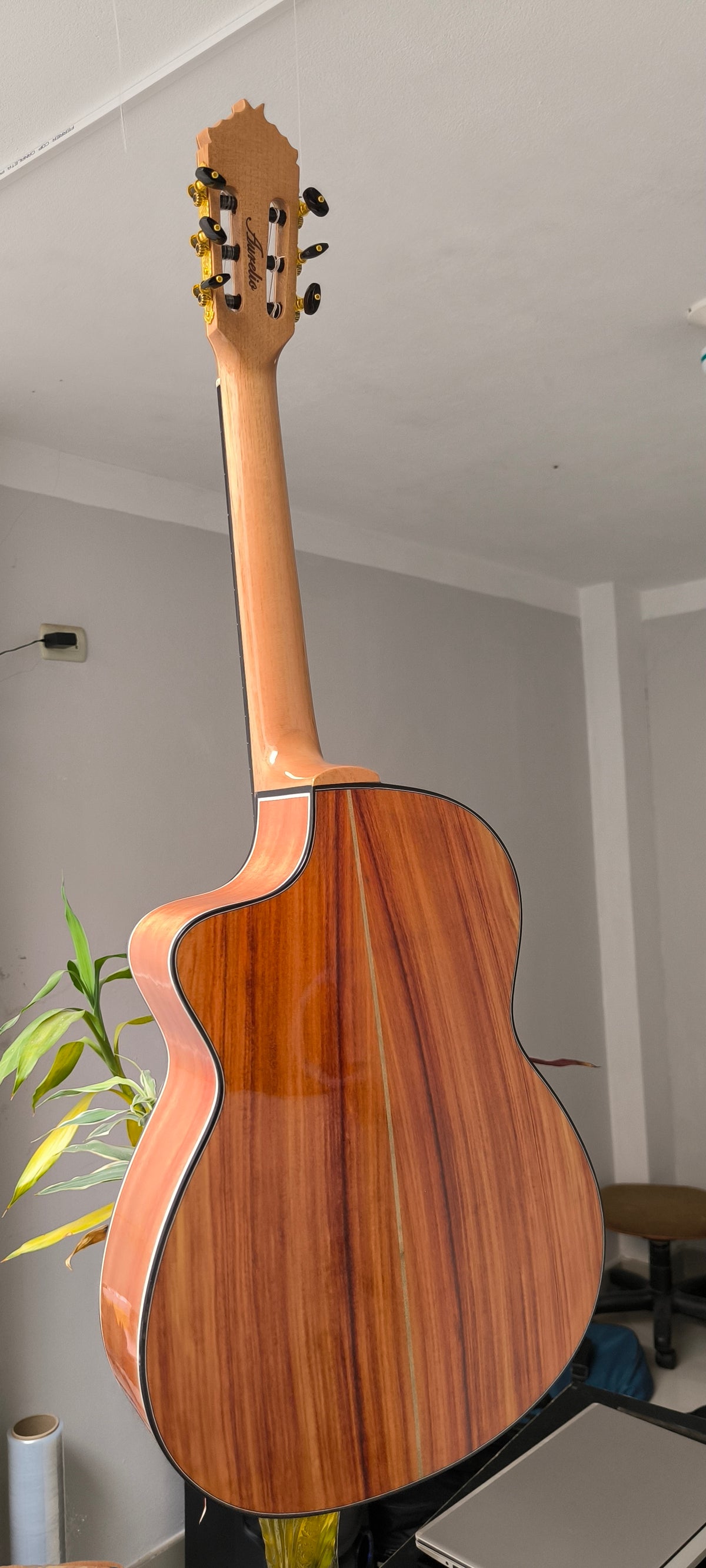 Guitarra Andina AN500 Premium 2 - Palo de Hierro con Sistema ARTEC LCD y Diseño Nazca
