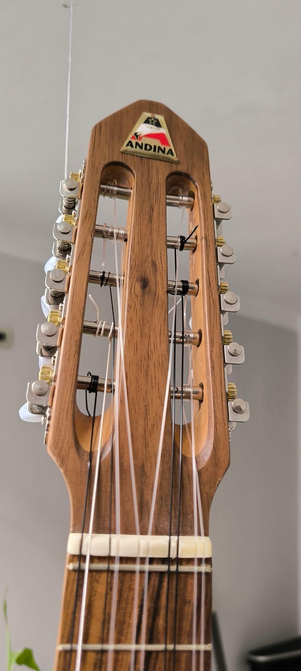 Ronroco Andino Premium - Tallado a Mano con Sistema Fishman Sonitone
