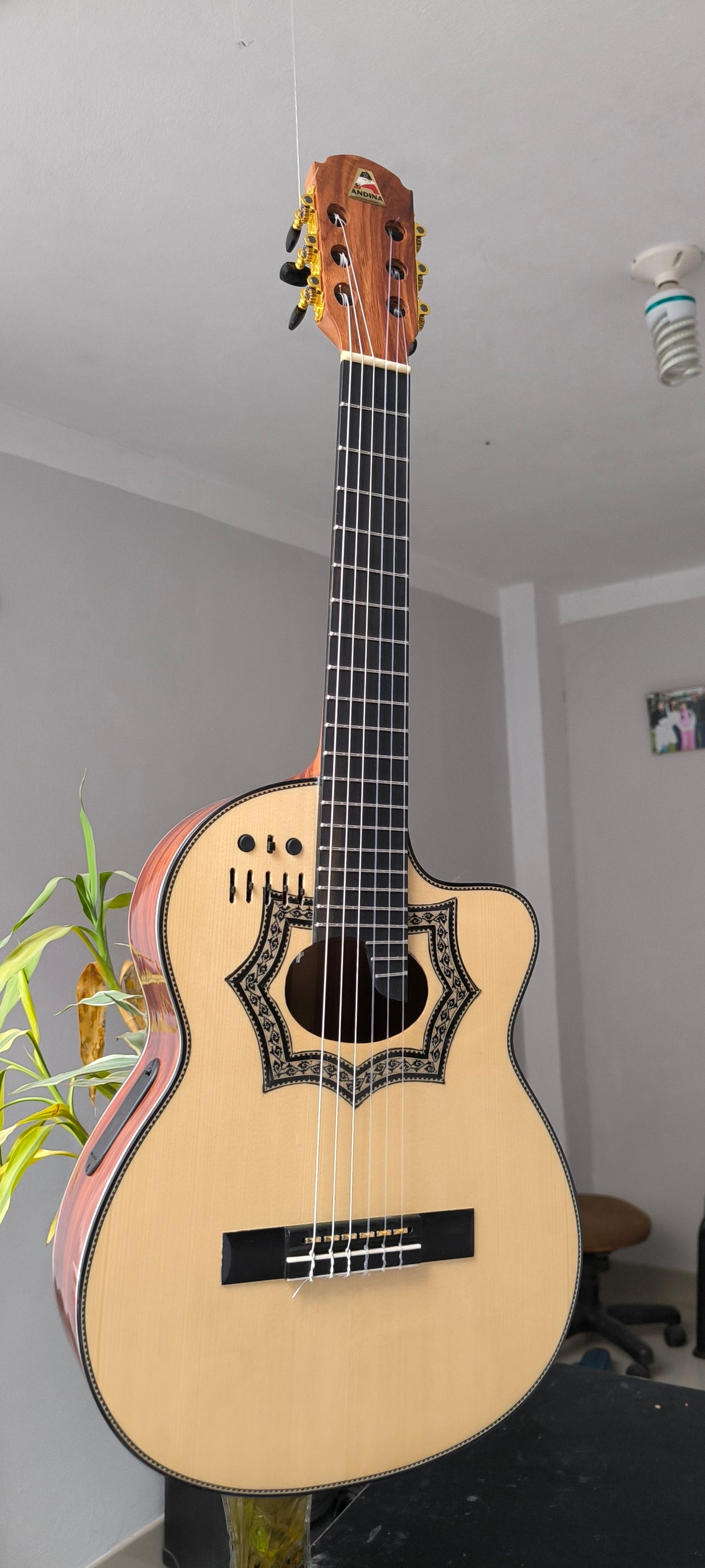 Requinto Andina Gold - Palo de Hierro con Sistema RMC Sensores Oro