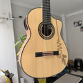 Guitarra Andina AN500 Premium 2 - Palo de Hierro con Sistema ARTEC LCD y Diseño Nazca