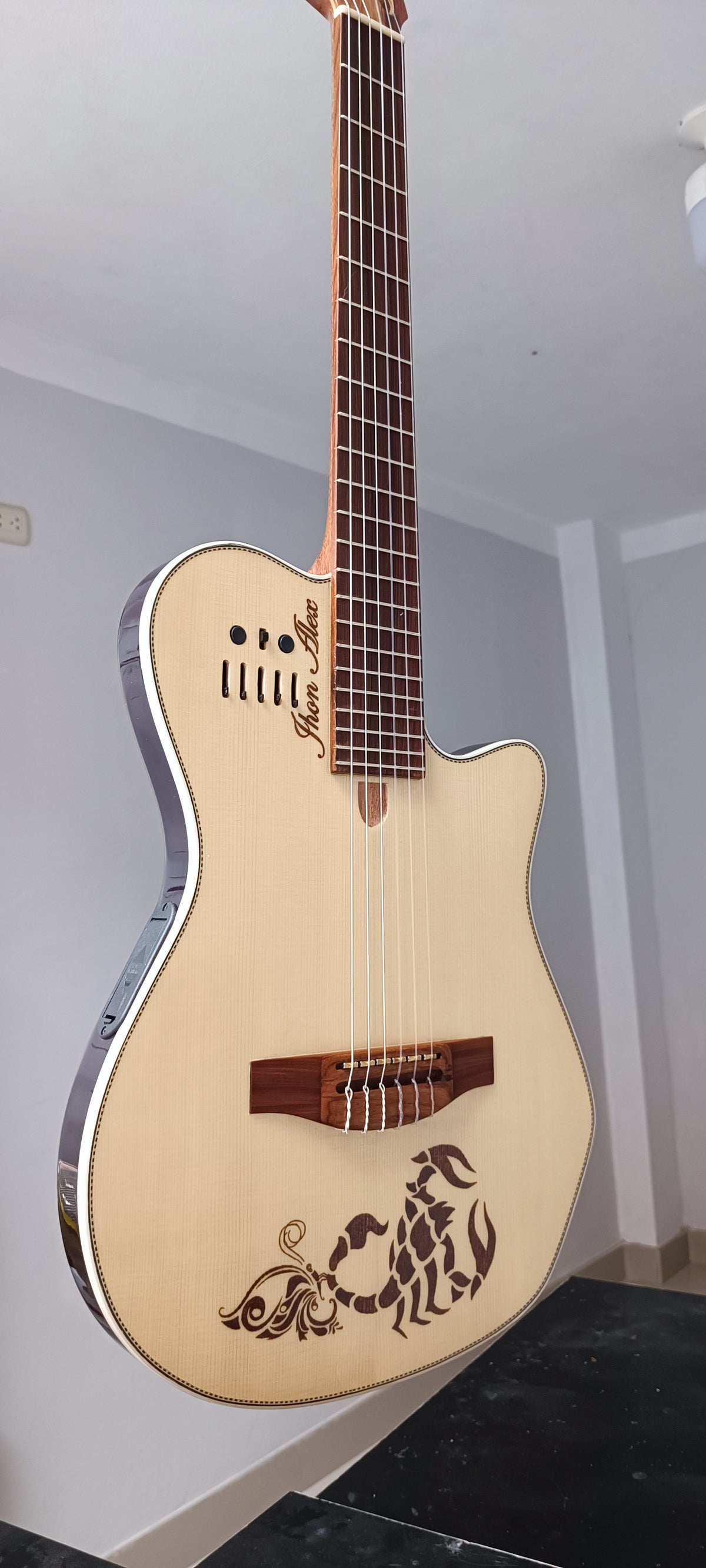 Guitarra Andina AN4G Gold - Semisólida con Sistema RMC Bañado en Oro