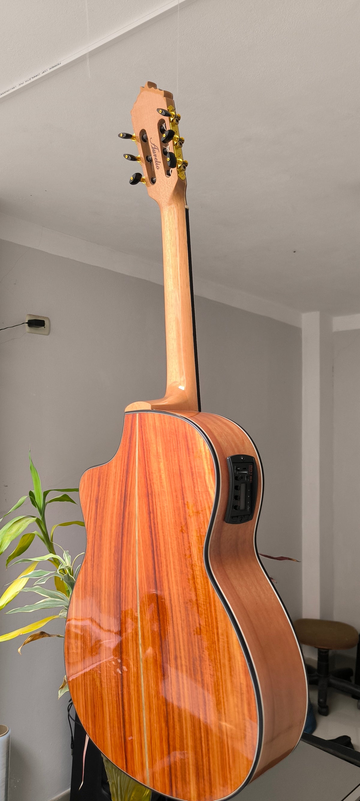 Guitarra Andina AN500 Premium 2 - Palo de Hierro con Sistema ARTEC LCD y Diseño Nazca