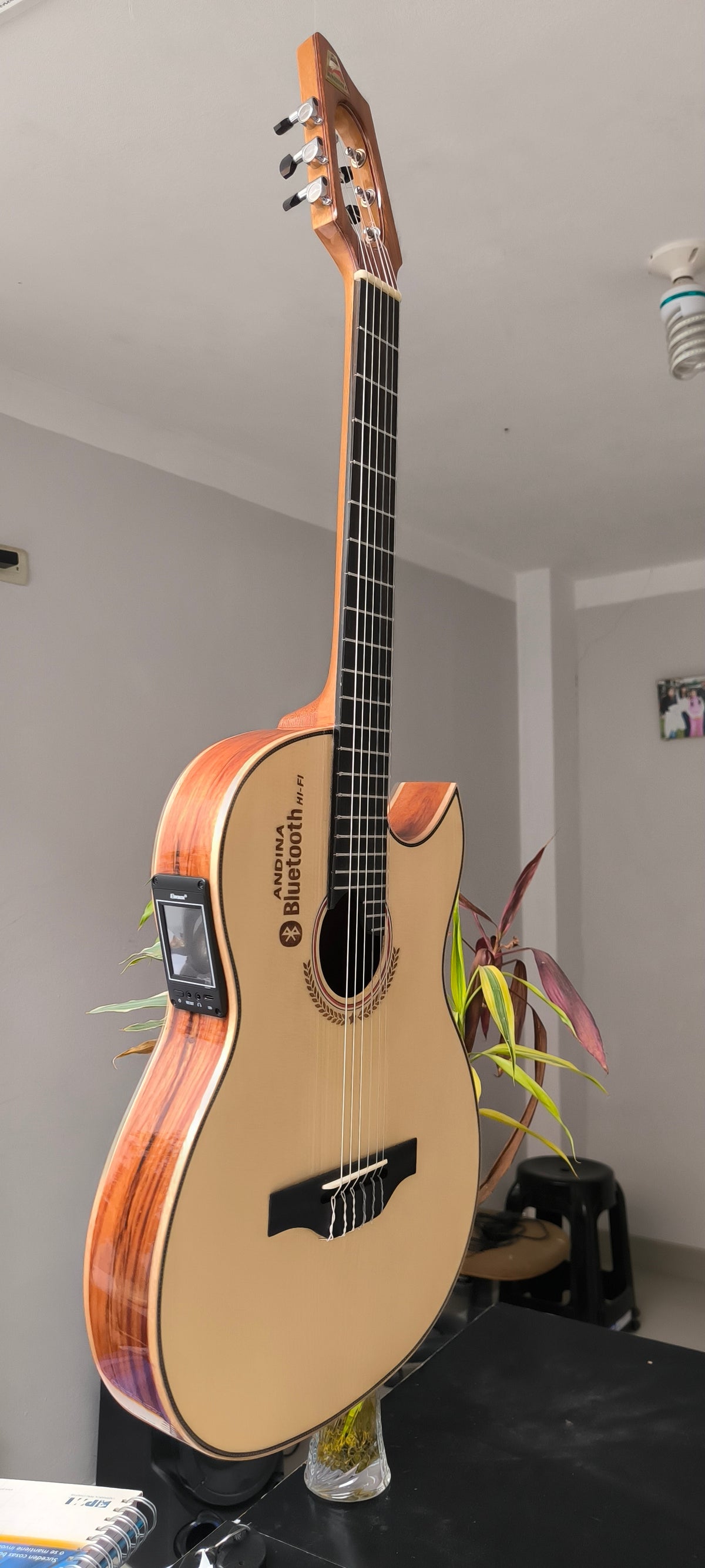 Guitarra Andina Bluetooth HiFi - Pantalla Táctil y Sistema Eddy Box con Efectos Digitales
