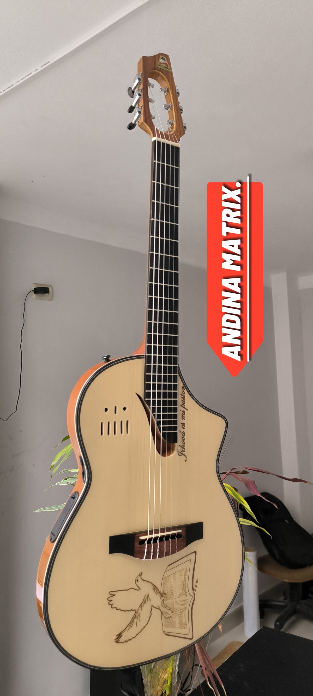 Guitarra Andina Matrix - Semisólida con Sistema Fishman Matrix Infinity