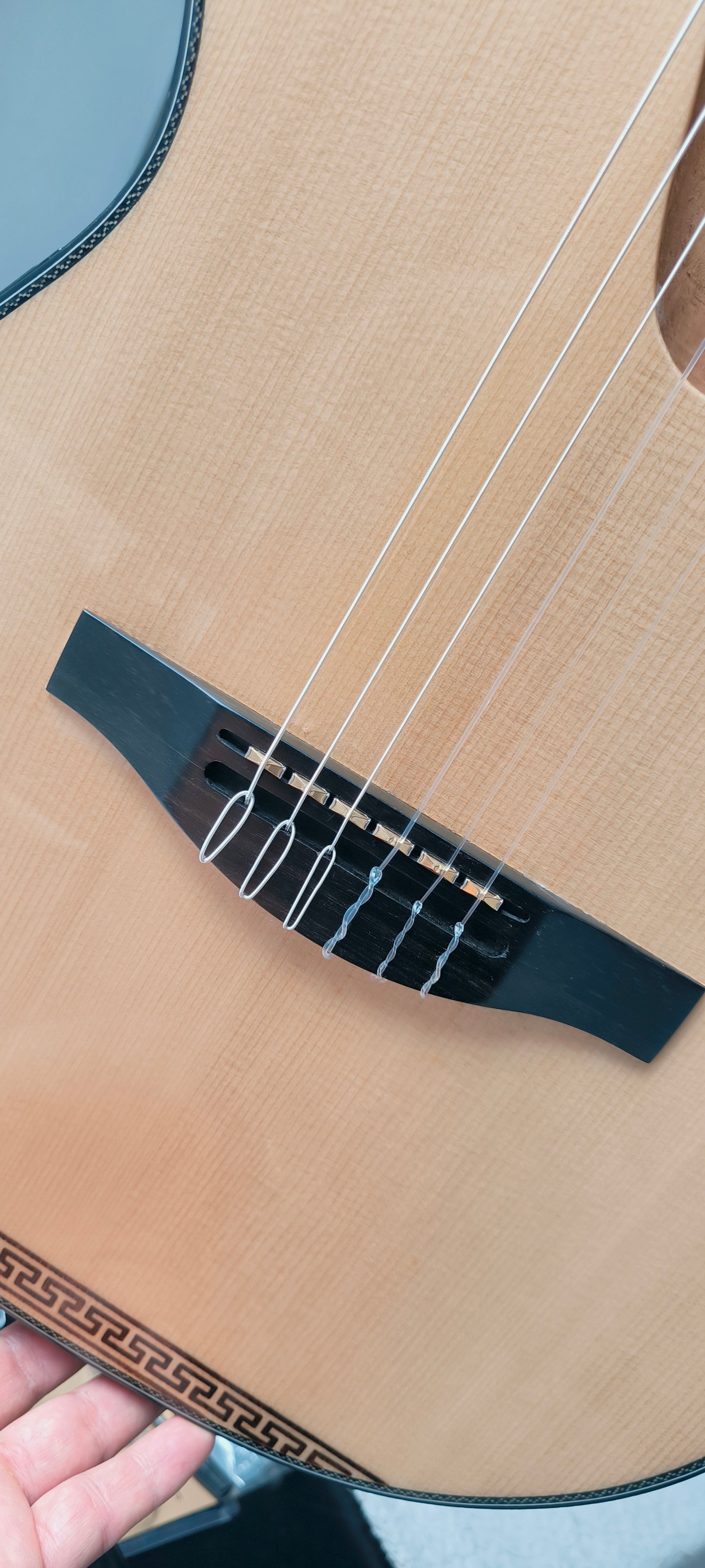 REQUINTO PROFESIONAL - ANDINA NOVA DORADO