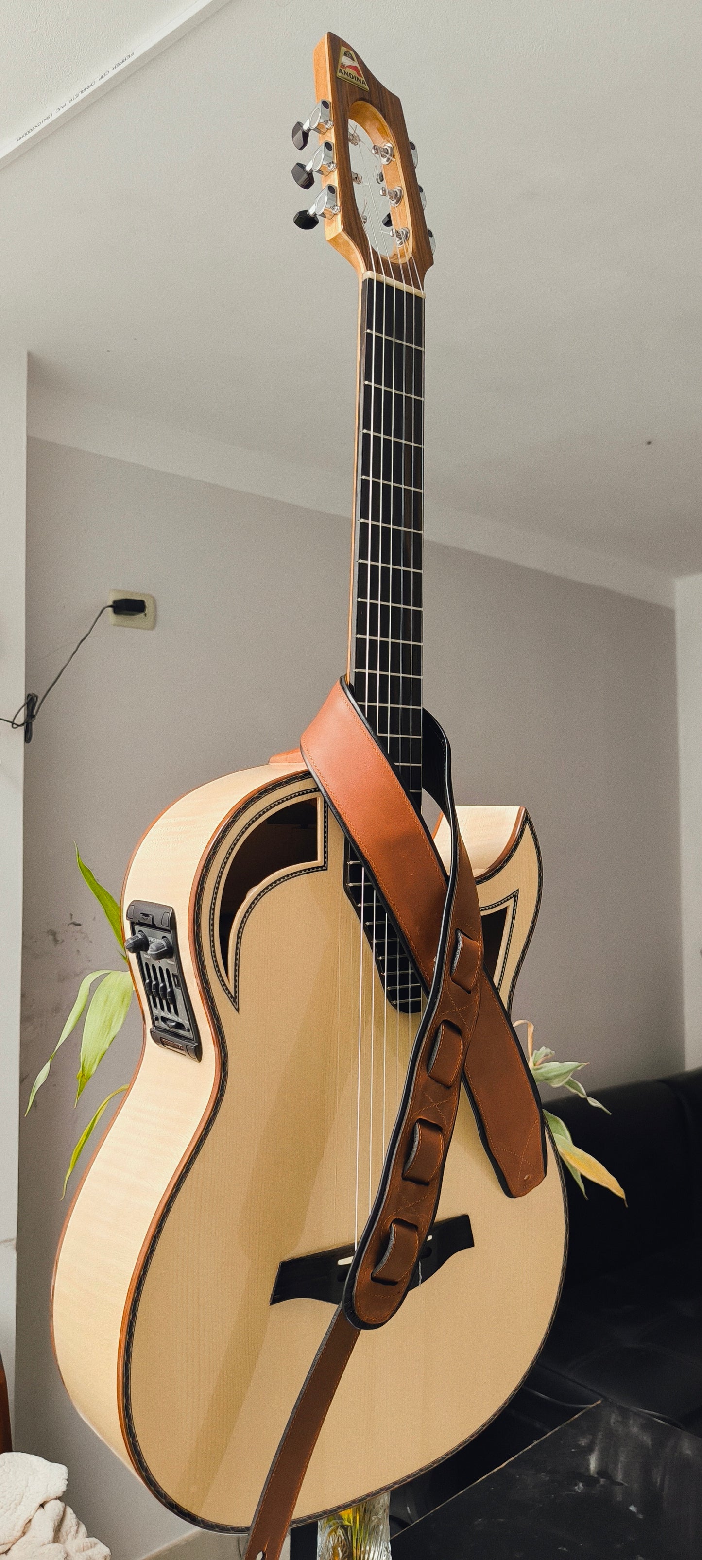 ANCX PLUS