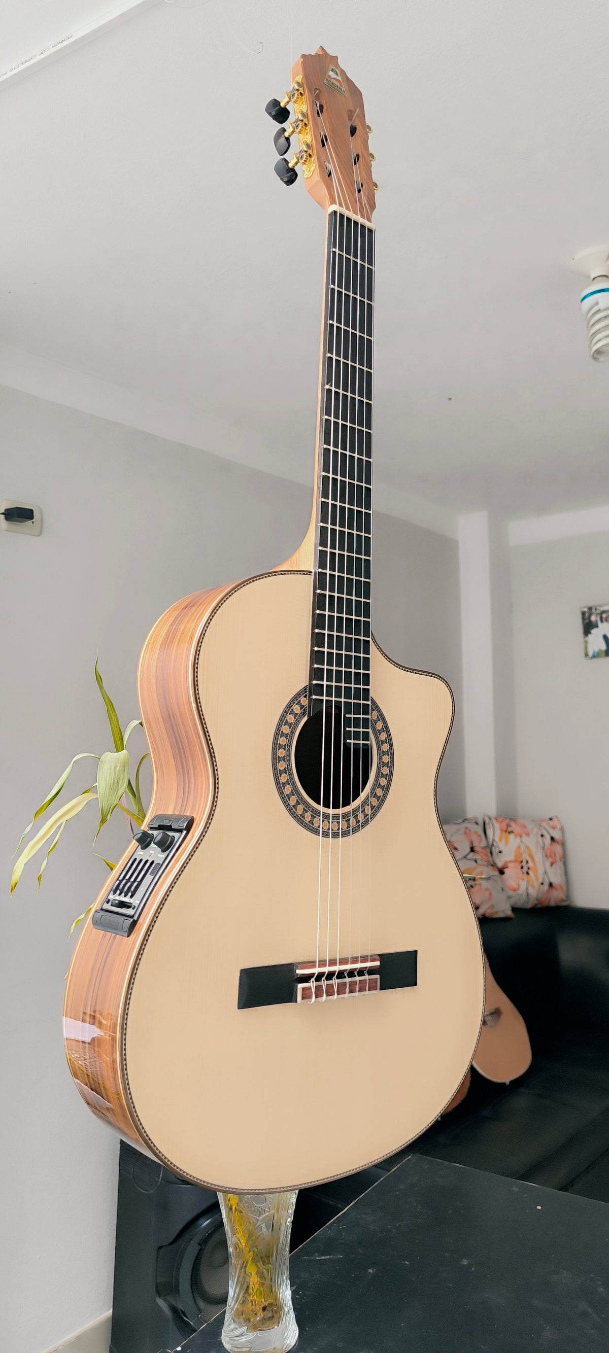 Guitarra Andina AN500 Gold - Profesional con Sistema RMC Sensores Oro