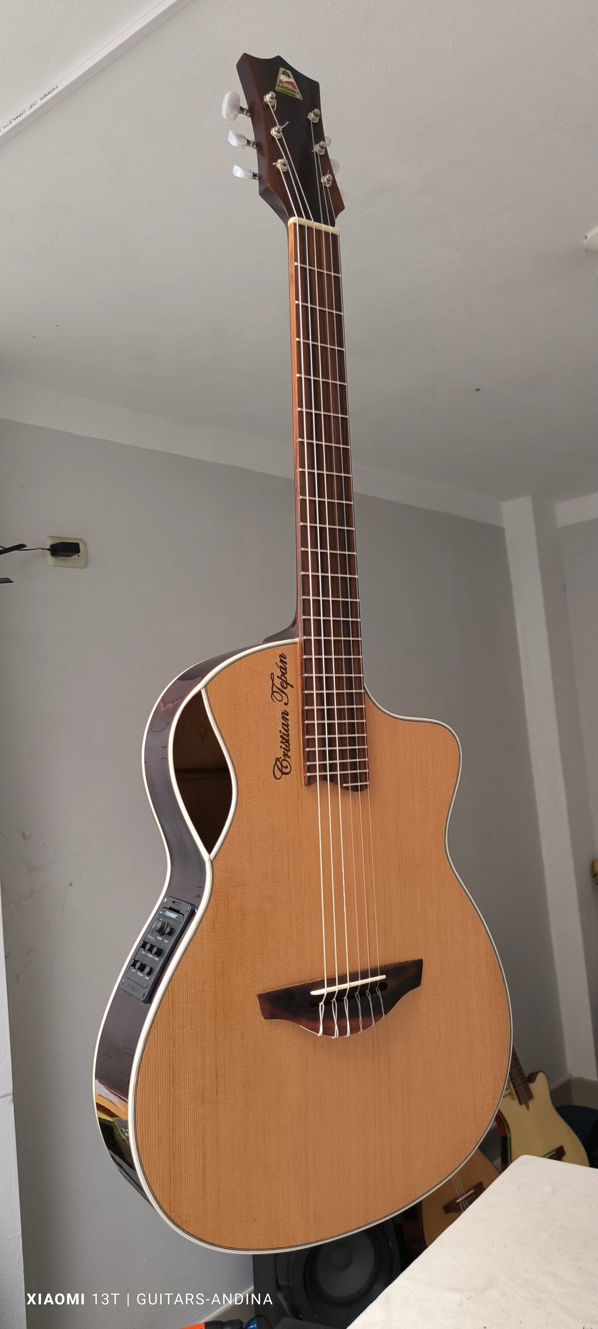 Guitarra Andina Épica - Electroacústica con Boca Lateral y Sistema Fishman Presys
