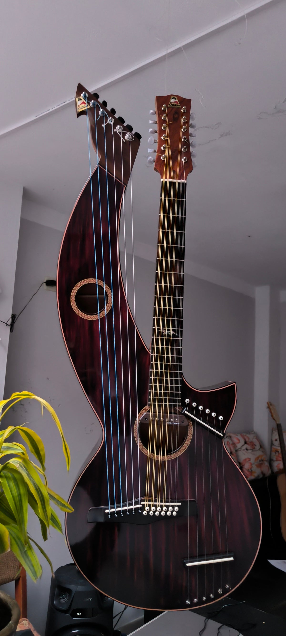 Huayra Andina Monster - Guitarra de Doble Brazo 24 Cuerdas - Caoba y Ébano