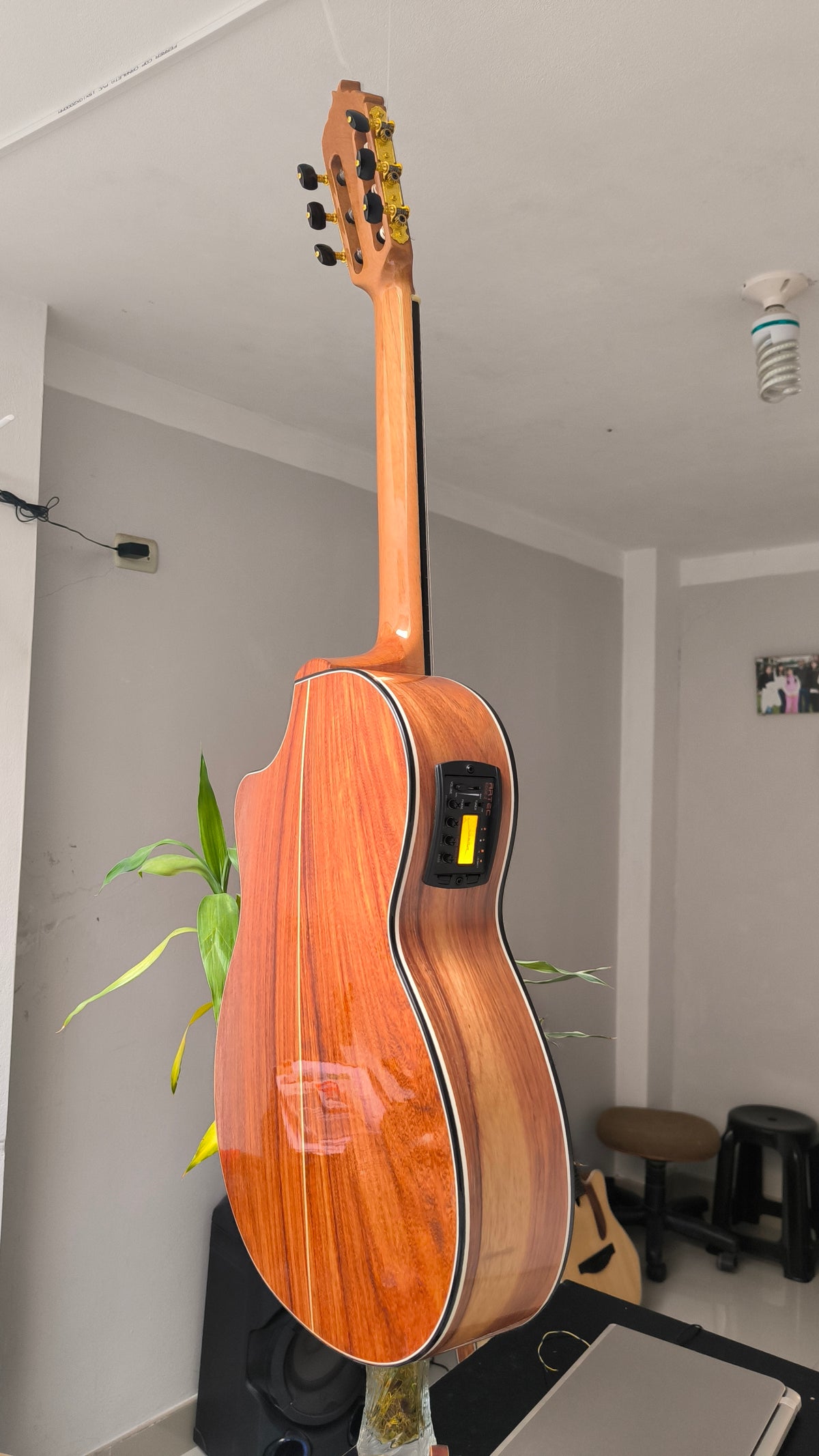 Guitarra Andina AN500 Premium 2 - Palo de Hierro con Sistema ARTEC LCD y Diseño Nazca