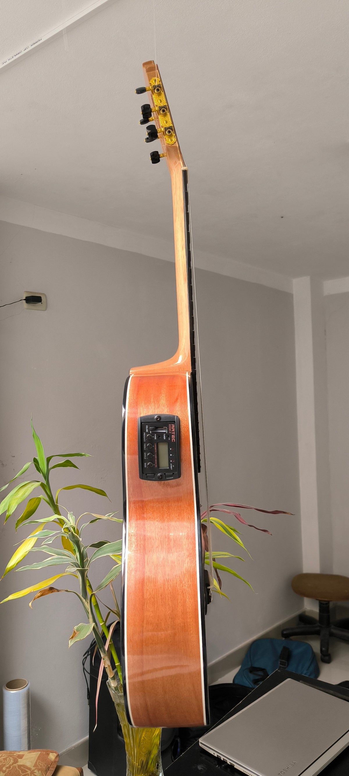 Guitarra Andina AN500 Premium 2 - Palo de Hierro con Sistema ARTEC LCD y Diseño Nazca