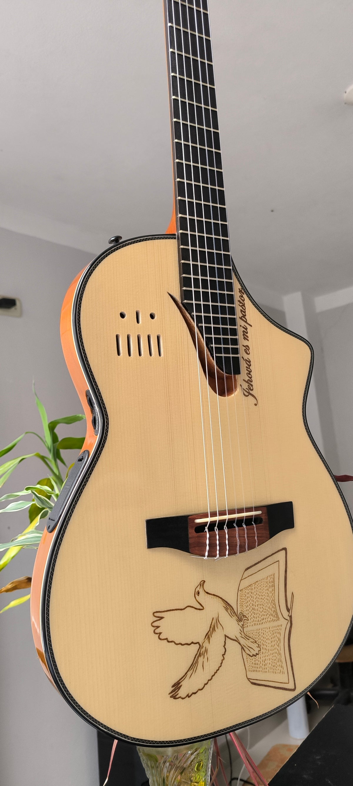 Guitarra Andina Matrix - Semisólida con Sistema Fishman Matrix Infinity